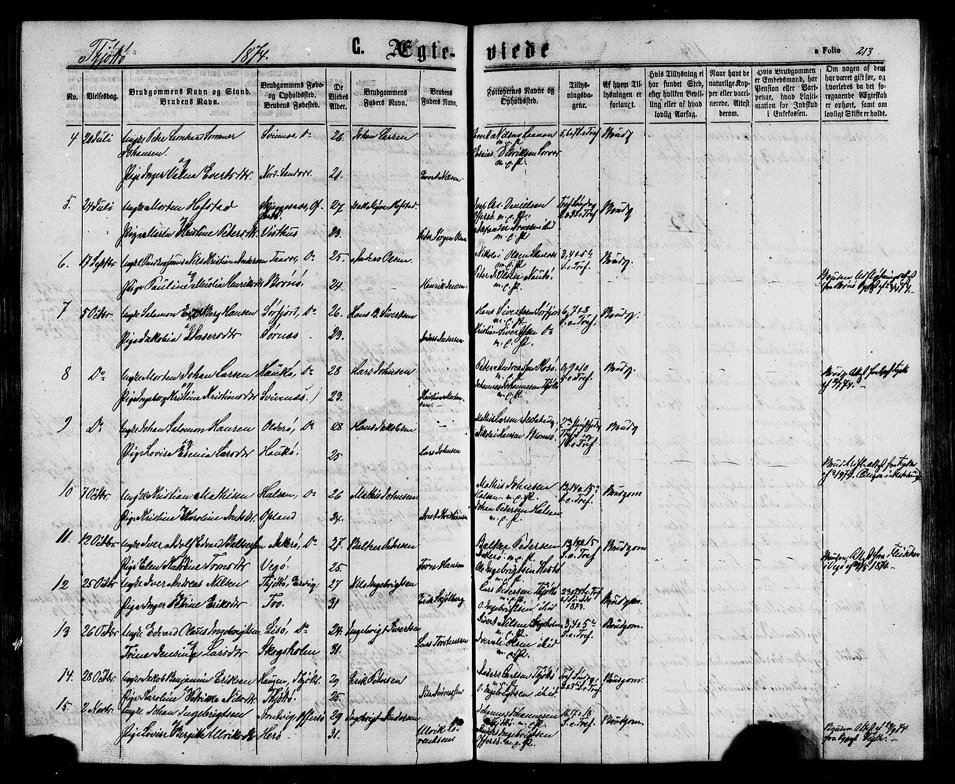 Ministerialprotokoller, klokkerbøker og fødselsregistre - Nordland, AV/SAT-A-1459/817/L0262: Parish register (official) no. 817A03/ 1, 1862-1877, p. 213