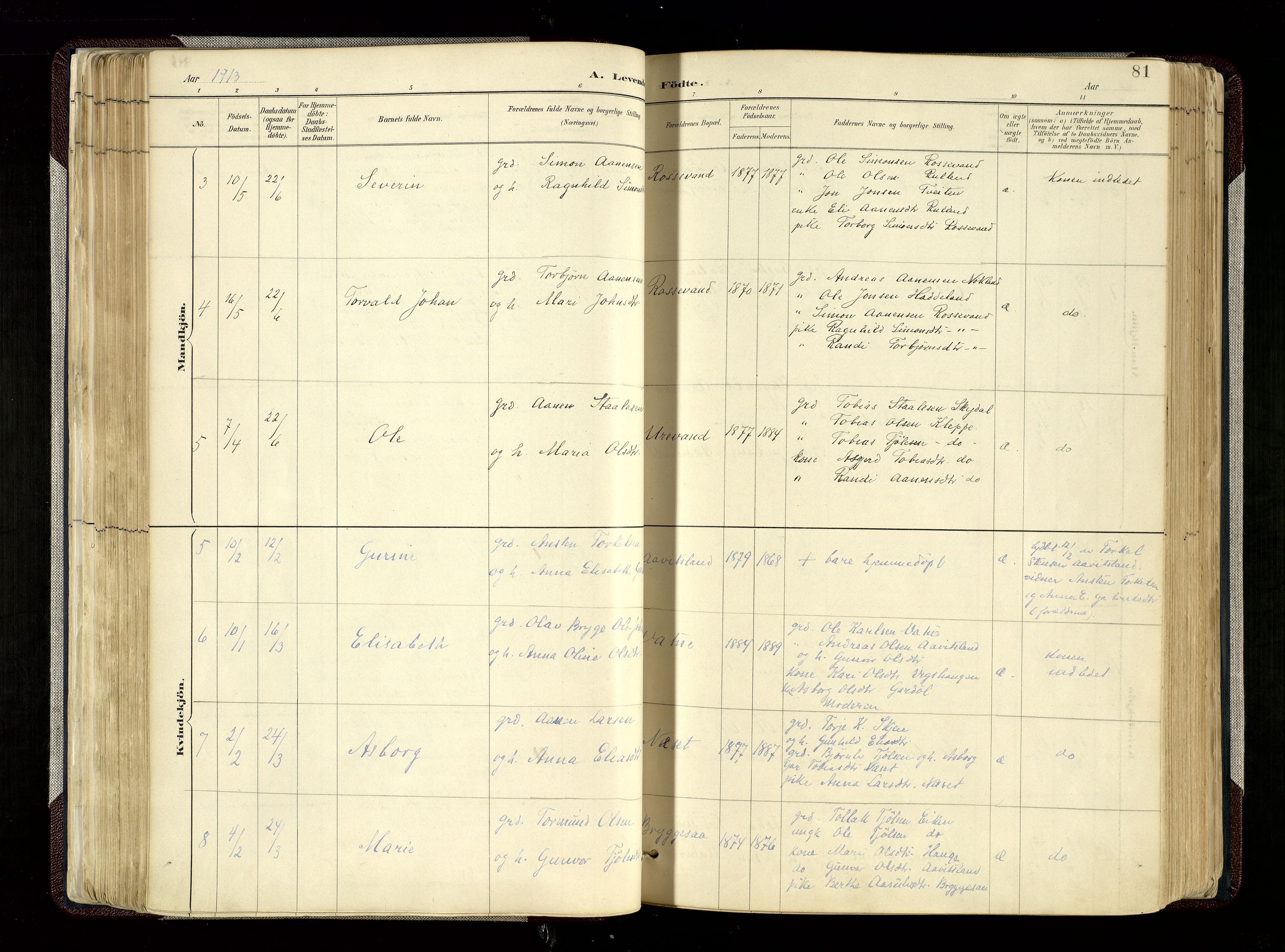Hægebostad sokneprestkontor, SAK/1111-0024/F/Fa/Fab/L0004: Parish register (official) no. A 4, 1887-1929, p. 81