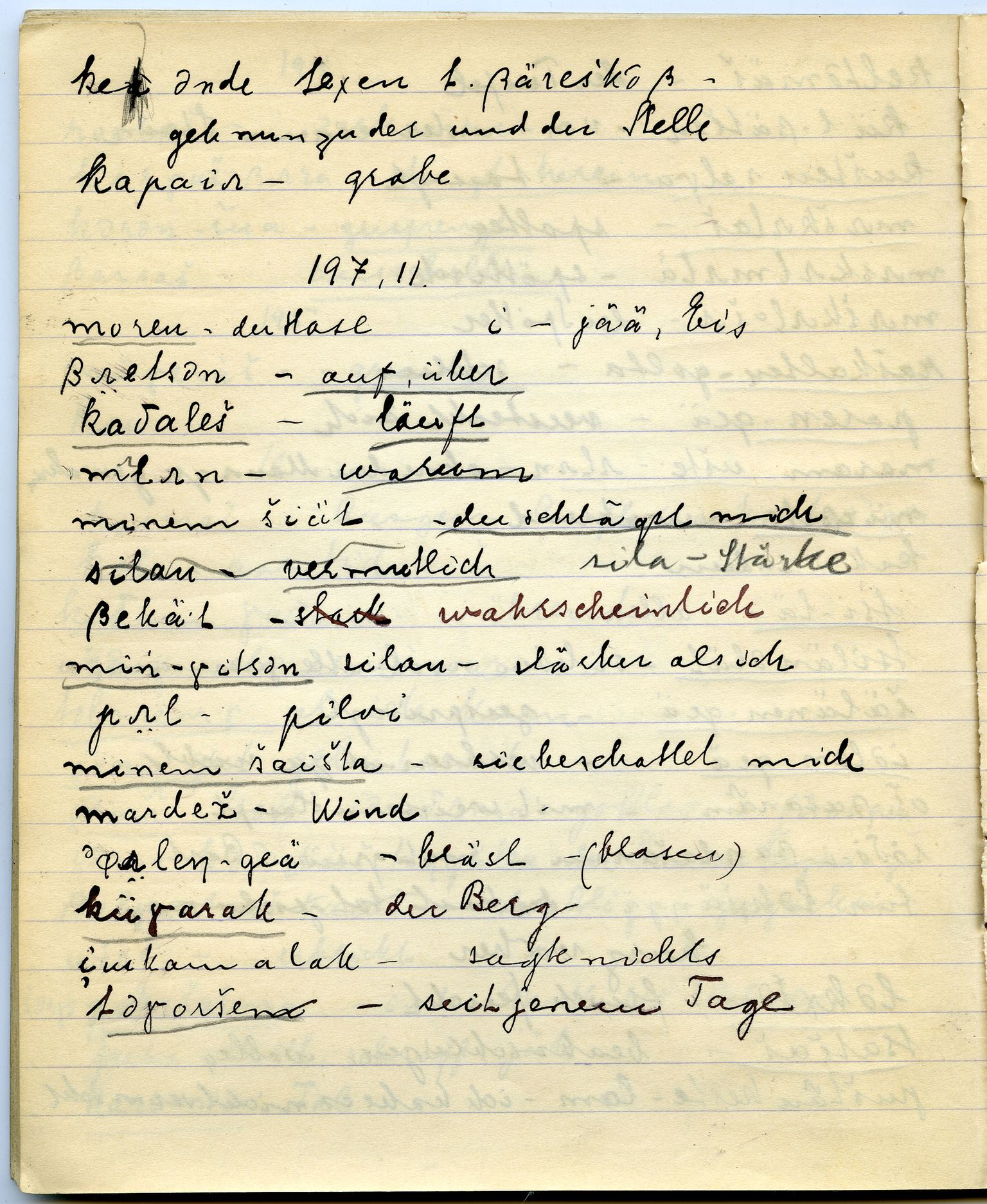 Johan Beronkas testamentariske gave, FMFB/A-1098/G/L0019: Notatbok om Pasvik–lappisk (4 stykker), 1928-1929, p. 115