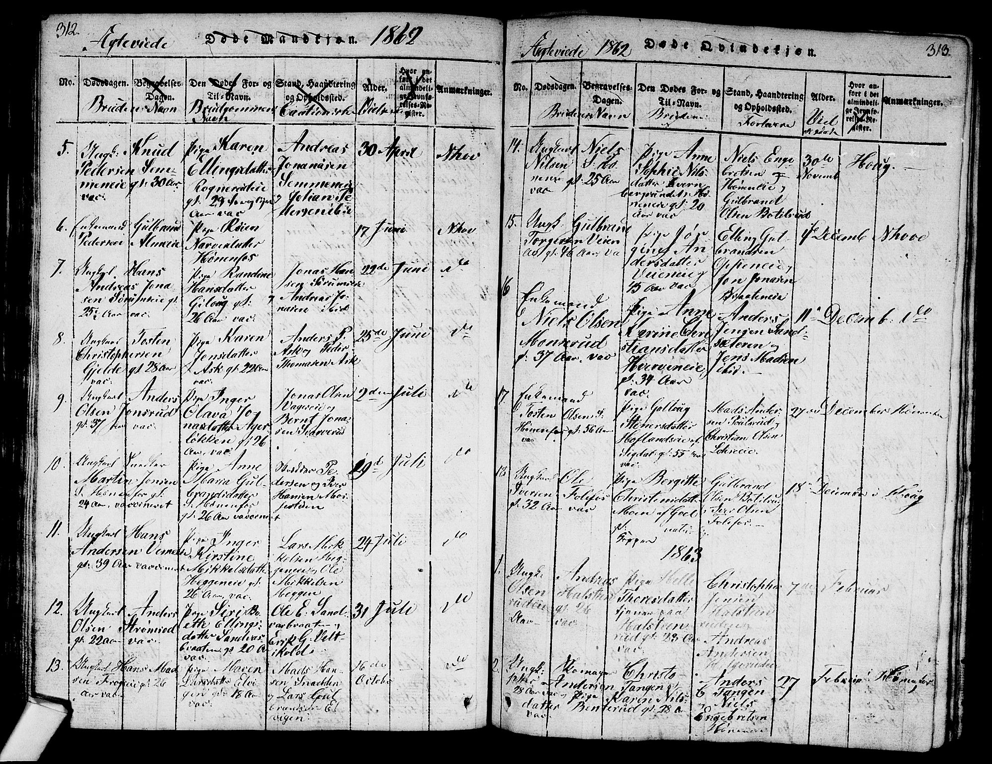 Norderhov kirkebøker, SAKO/A-237/G/Ga/L0003: Parish register (copy) no. I 3 /1, 1814-1876, p. 312-313