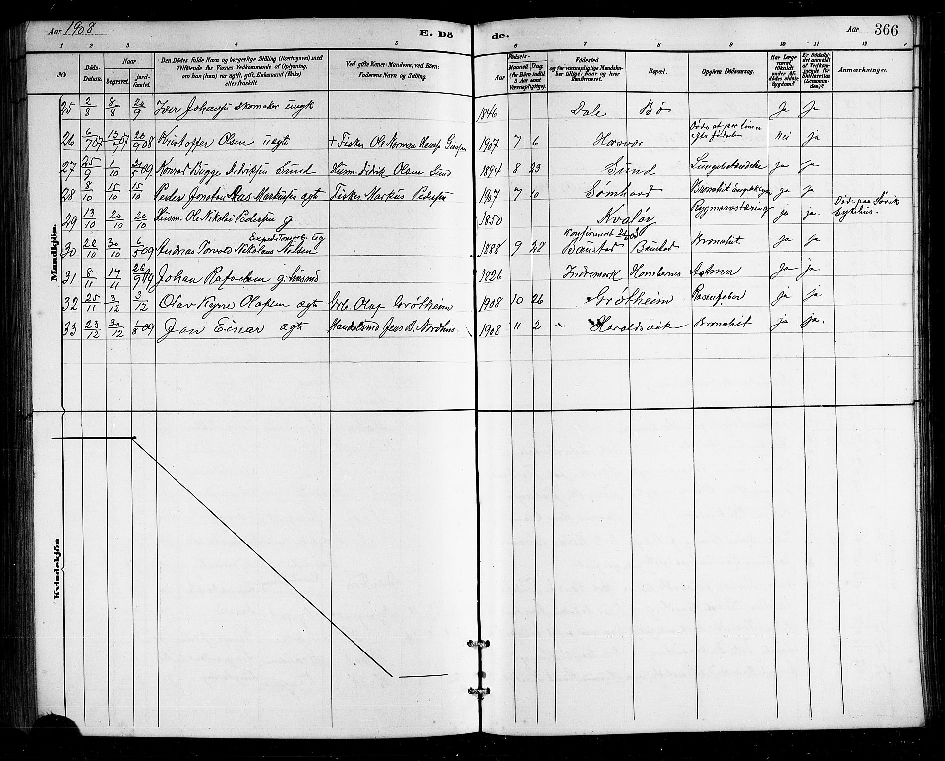 Ministerialprotokoller, klokkerbøker og fødselsregistre - Nordland, SAT/A-1459/812/L0188: Parish register (copy) no. 812C06, 1884-1912, p. 366