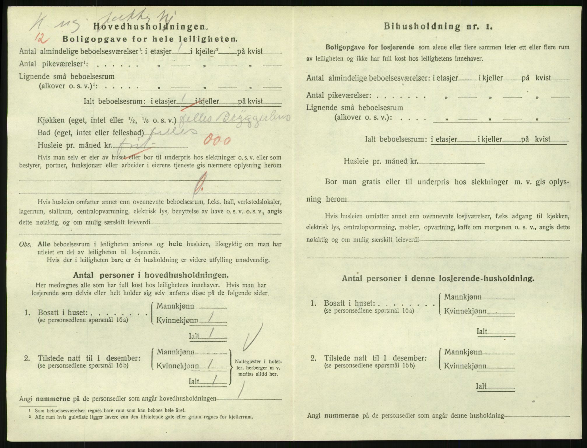 SAKO, 1920 census for Larvik, 1920, p. 6813