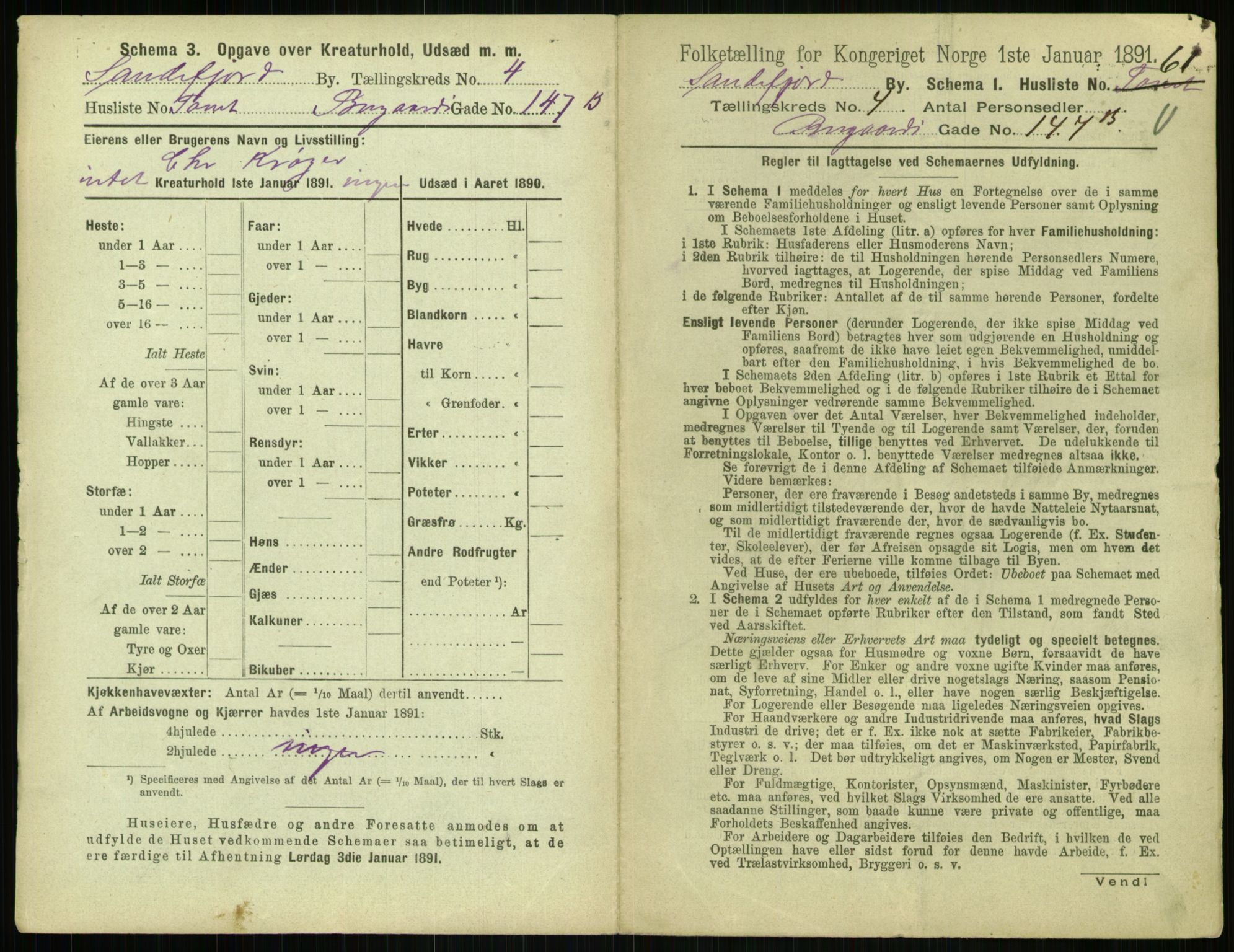 RA, 1891 census for 0706 Sandefjord, 1891, p. 507