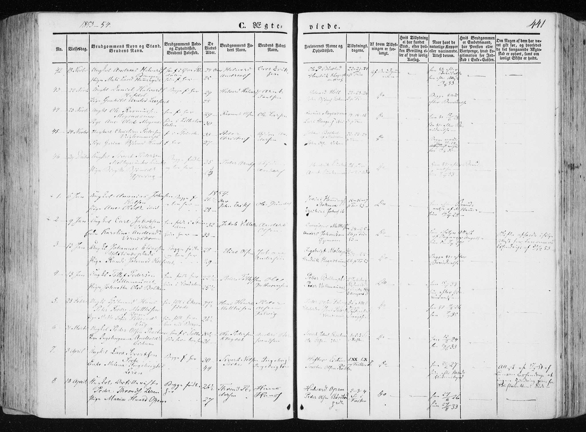 Ministerialprotokoller, klokkerbøker og fødselsregistre - Nord-Trøndelag, SAT/A-1458/709/L0074: Parish register (official) no. 709A14, 1845-1858, p. 441