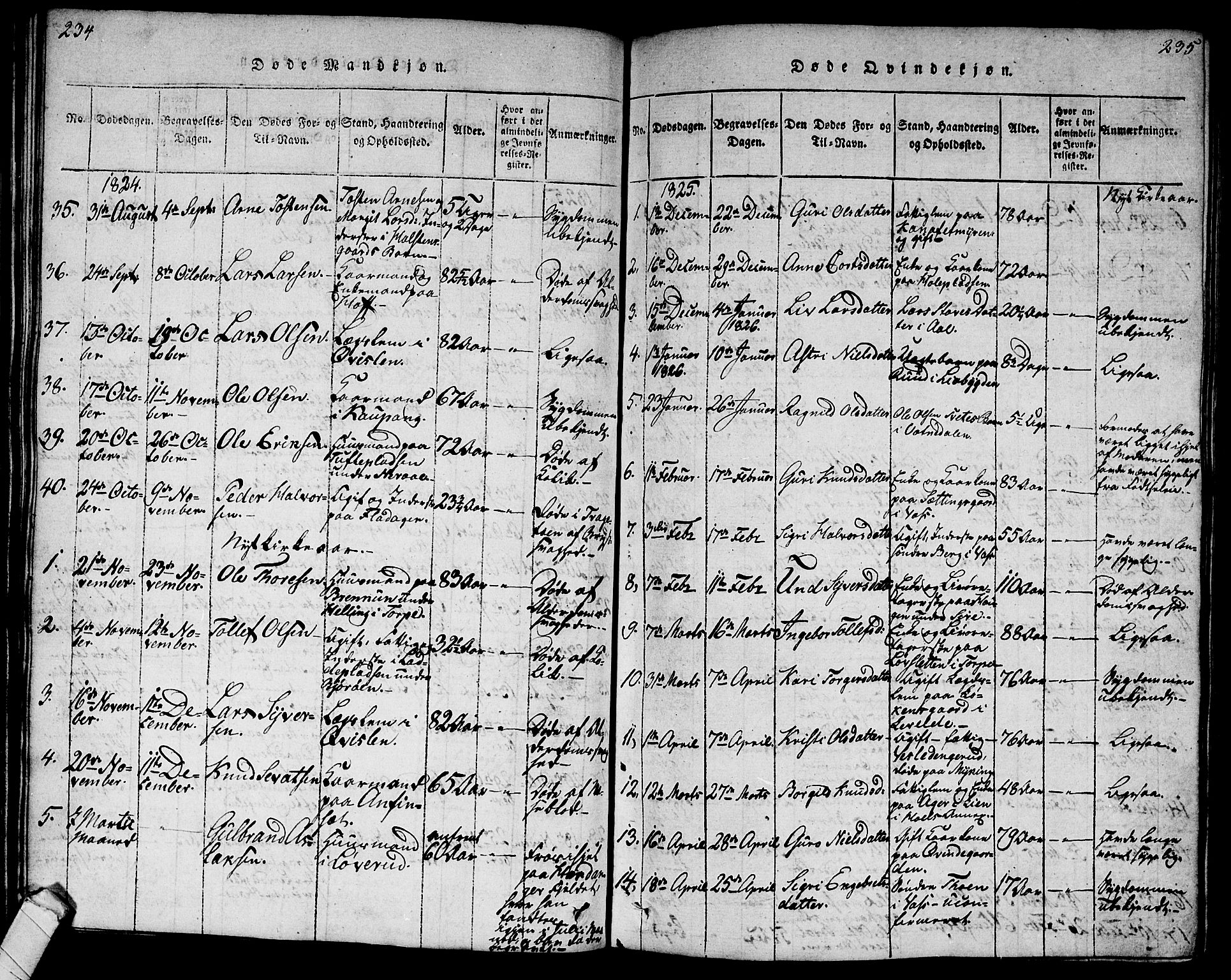 Ål kirkebøker, AV/SAKO-A-249/G/Ga/L0001: Parish register (copy) no. 1, 1815-1829, p. 234-235