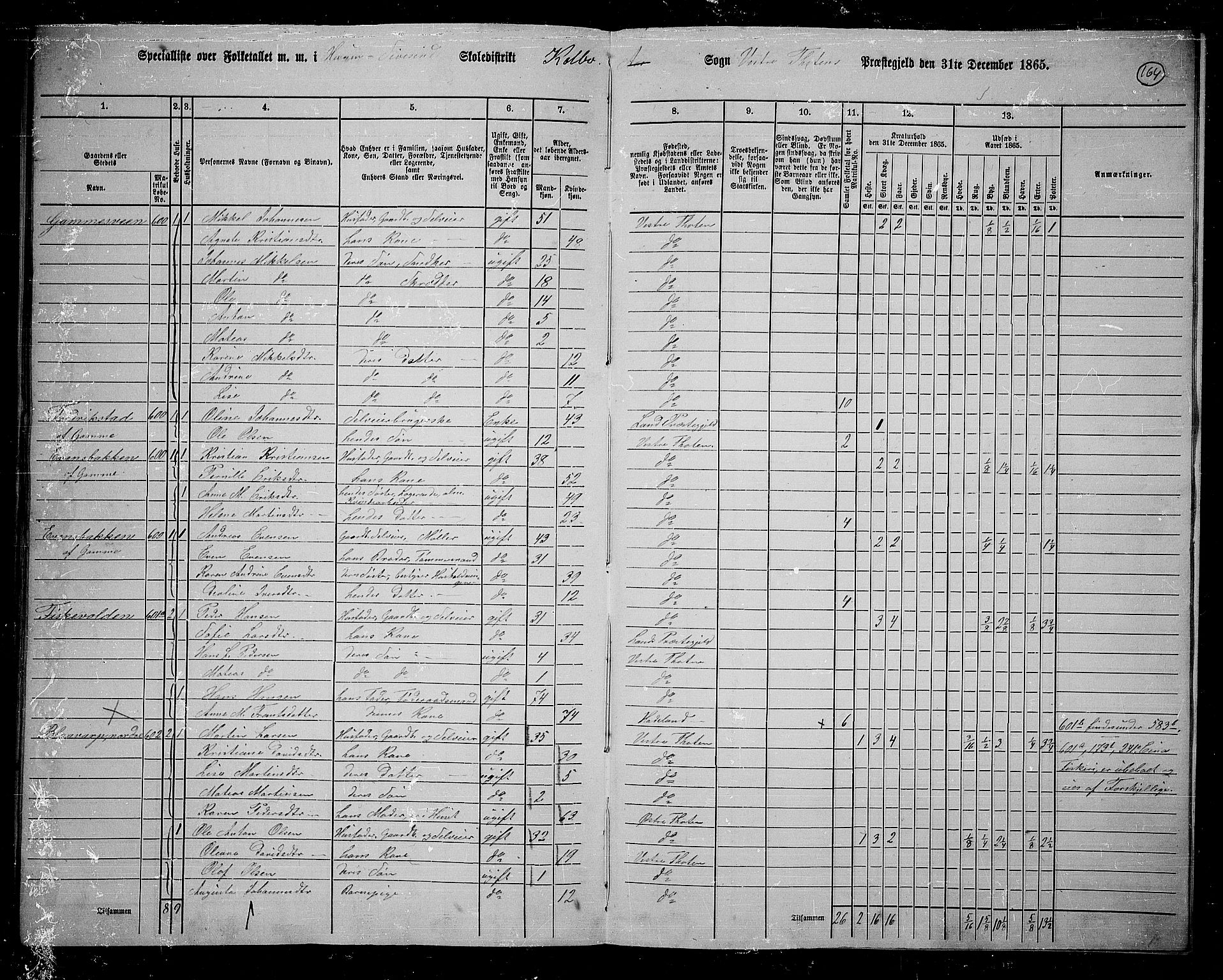 RA, 1865 census for Vestre Toten, 1865, p. 307