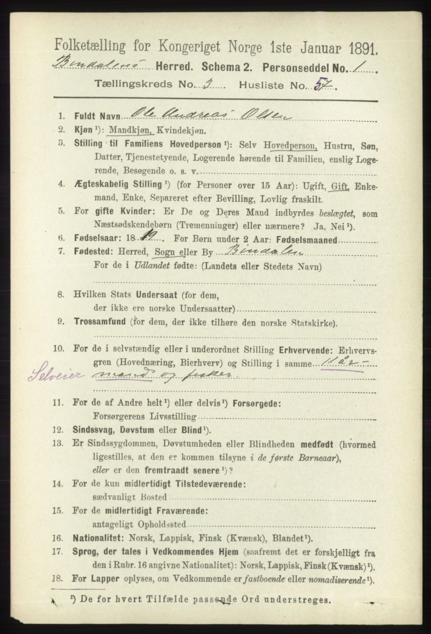 RA, 1891 census for 1811 Bindal, 1891, p. 984