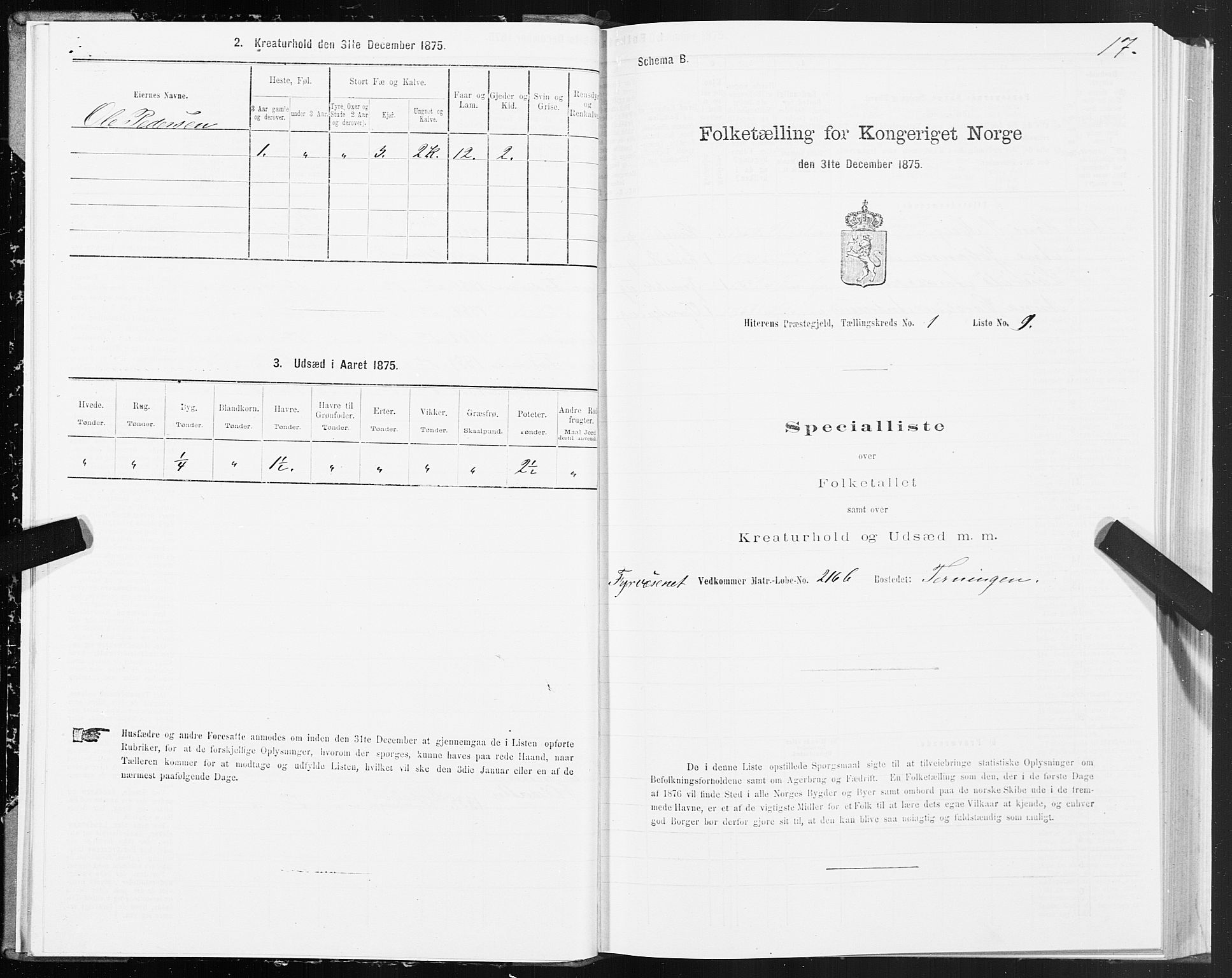 SAT, 1875 census for 1617P Hitra, 1875, p. 1017