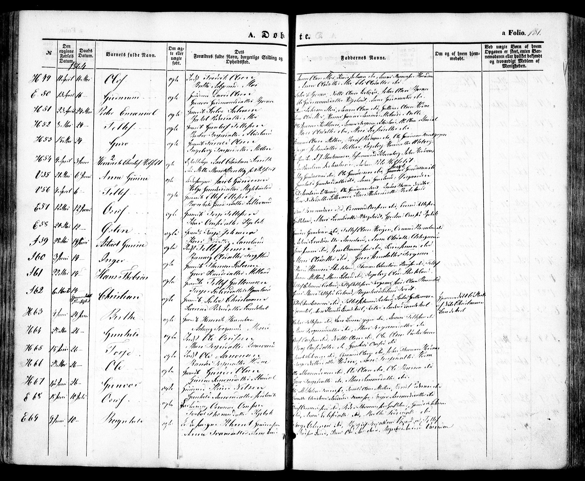 Evje sokneprestkontor, SAK/1111-0008/F/Fa/Faa/L0005: Parish register (official) no. A 5, 1843-1865, p. 181