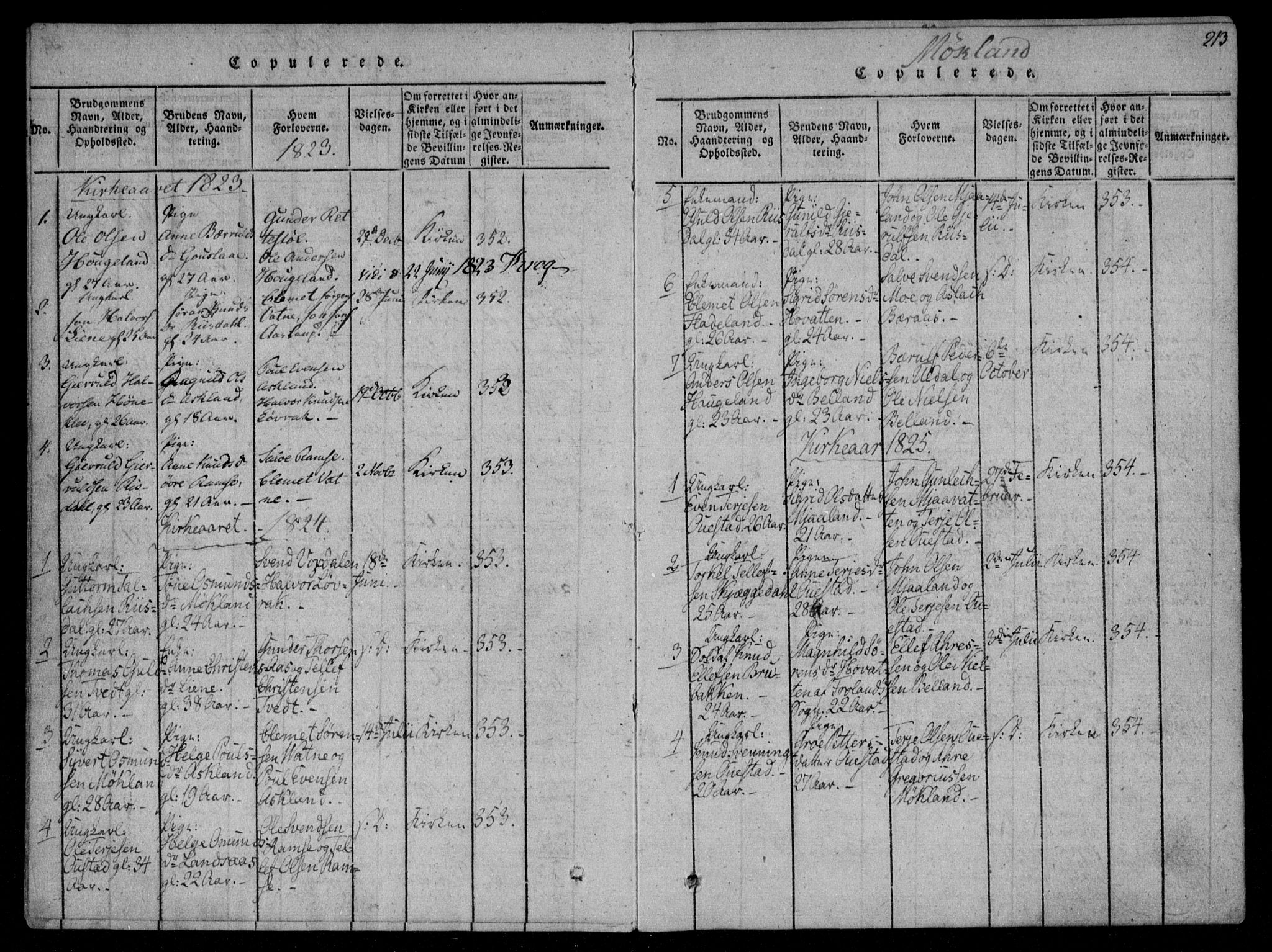 Åmli sokneprestkontor, AV/SAK-1111-0050/F/Fa/Fac/L0006: Parish register (official) no. A 6, 1816-1829, p. 213