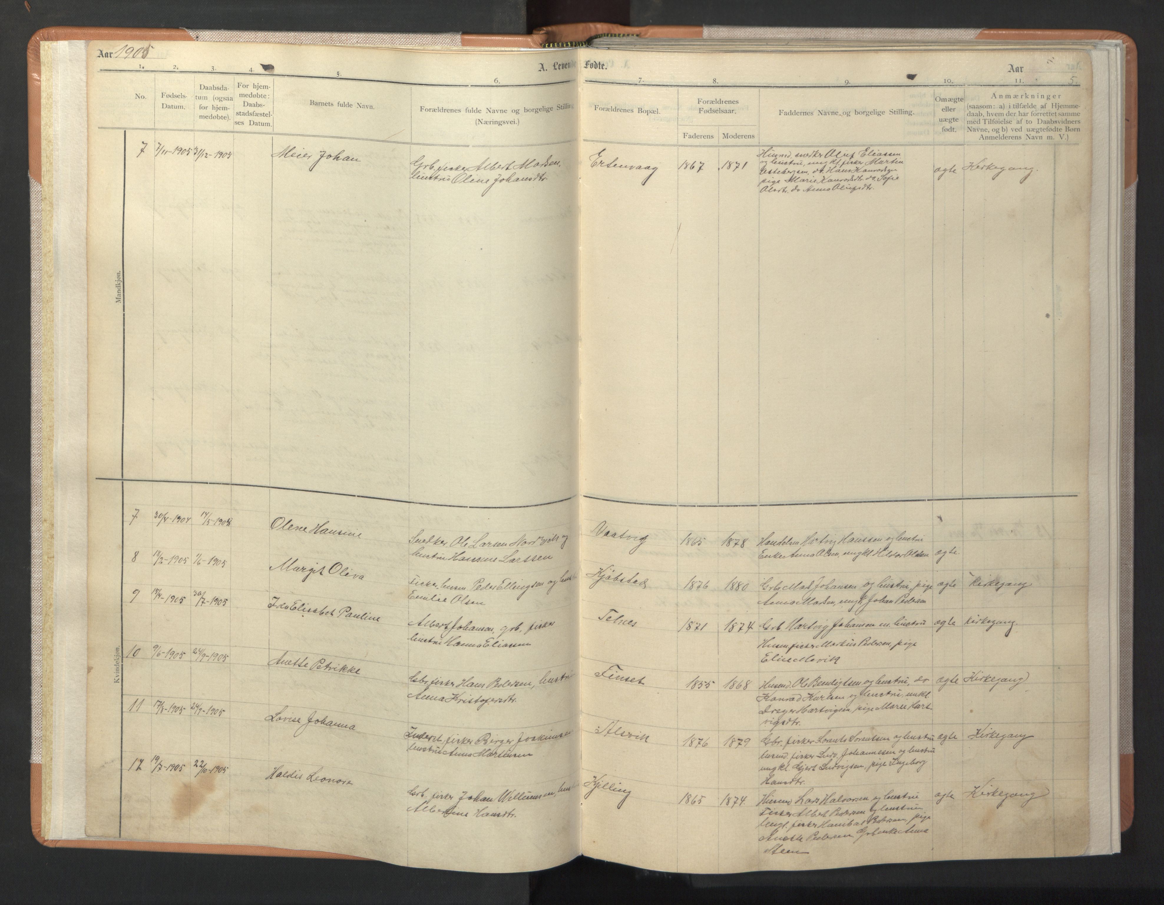 Ministerialprotokoller, klokkerbøker og fødselsregistre - Nordland, AV/SAT-A-1459/806/L0117: Parish register (copy) no. 806C01, 1905-1957, p. 5