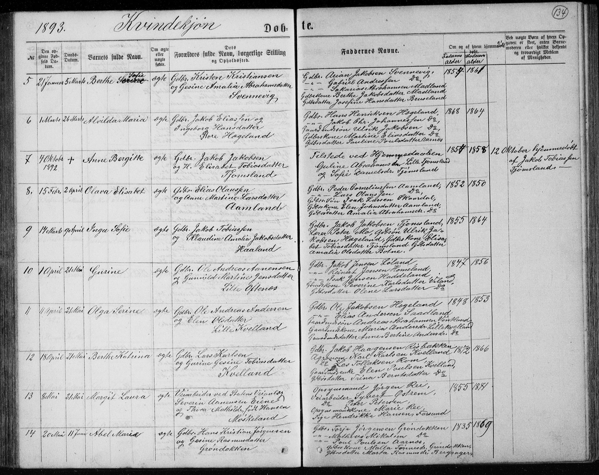 Lyngdal sokneprestkontor, AV/SAK-1111-0029/F/Fb/Fbc/L0004: Parish register (copy) no. B 4, 1878-1896, p. 134