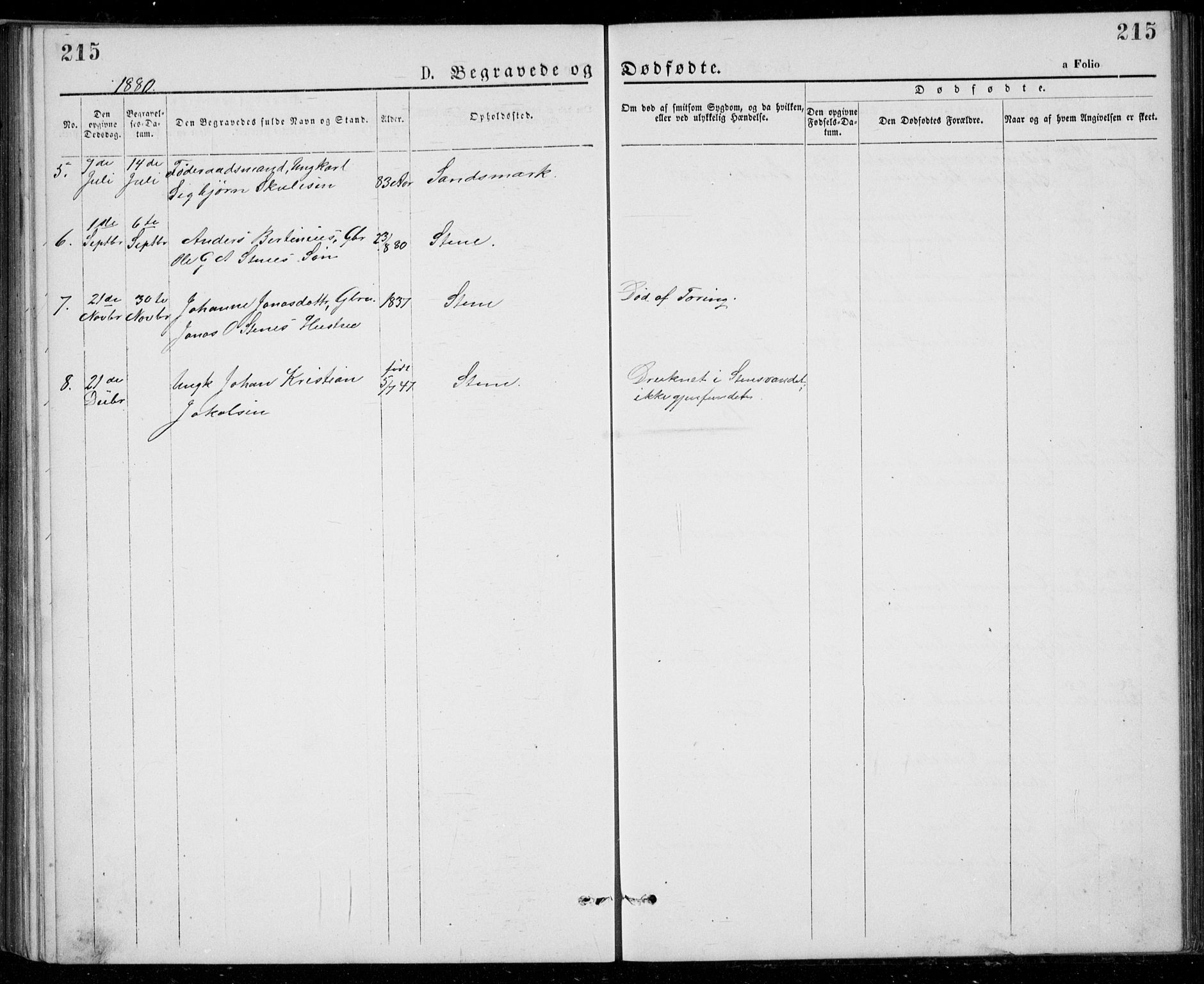 Lund sokneprestkontor, AV/SAST-A-101809/S07/L0005: Parish register (copy) no. B 5, 1875-1889, p. 215