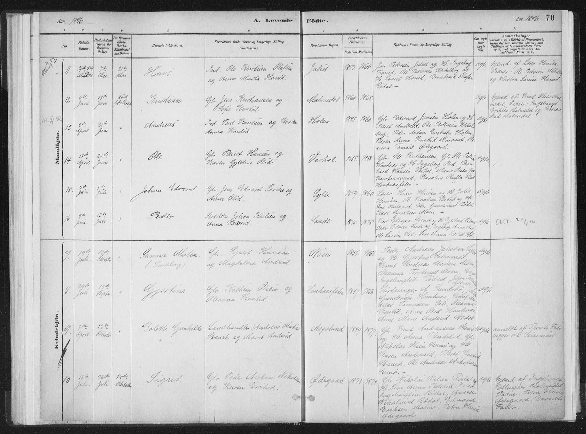 Ministerialprotokoller, klokkerbøker og fødselsregistre - Møre og Romsdal, AV/SAT-A-1454/564/L0740: Parish register (official) no. 564A01, 1880-1899, p. 70