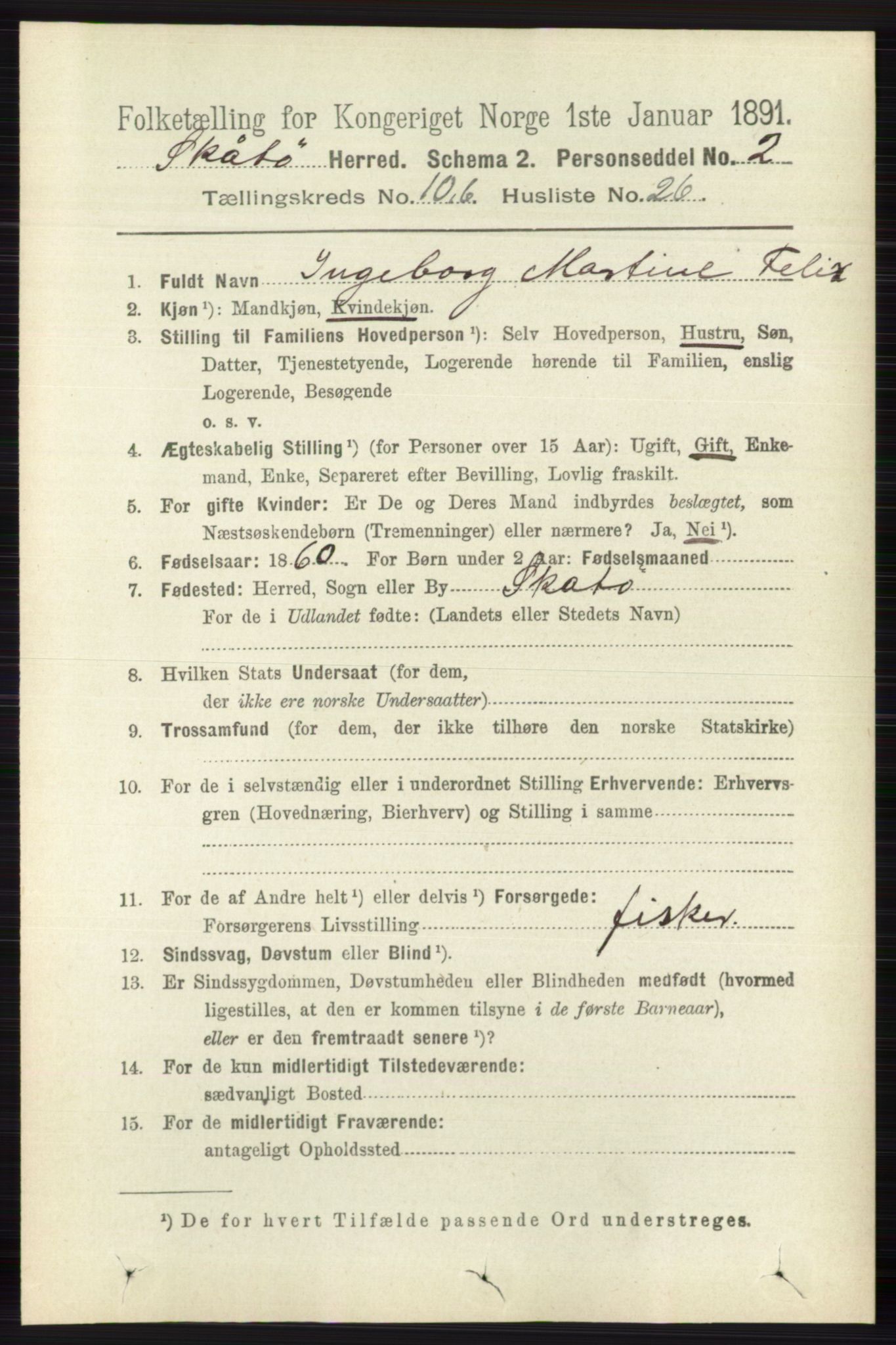 RA, 1891 census for 0815 Skåtøy, 1891, p. 4194