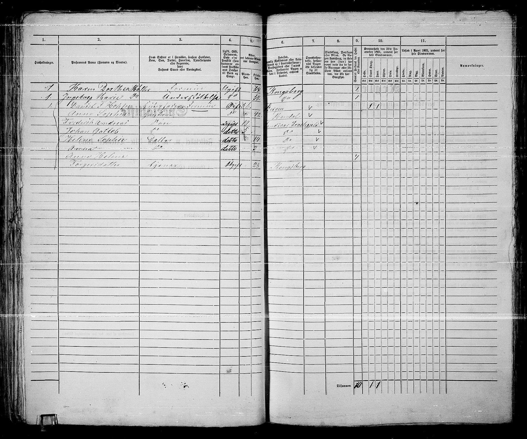 RA, 1865 census for Kongsberg/Kongsberg, 1865, p. 141