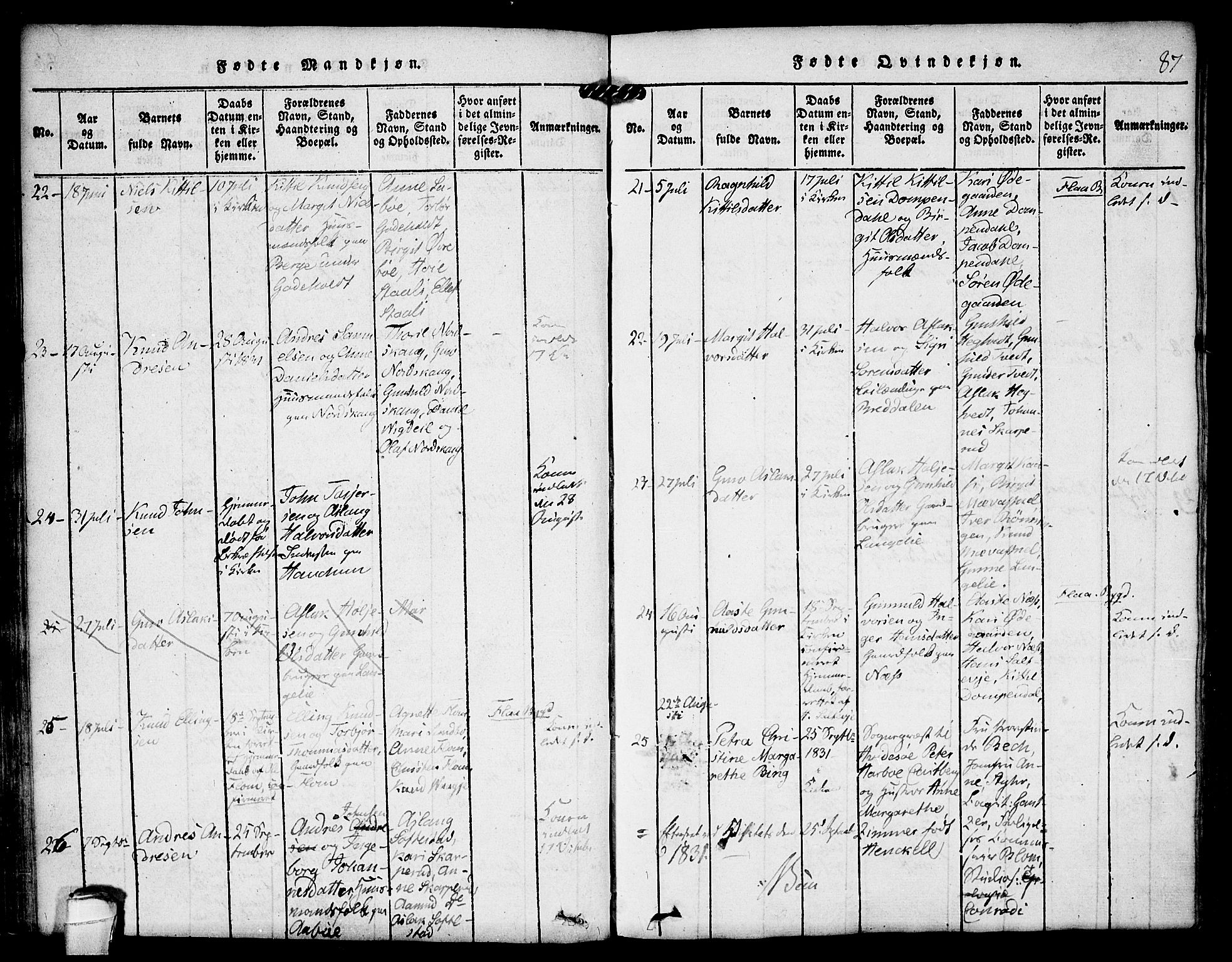 Kviteseid kirkebøker, AV/SAKO-A-276/F/Fa/L0005: Parish register (official) no. I 5, 1815-1836, p. 87