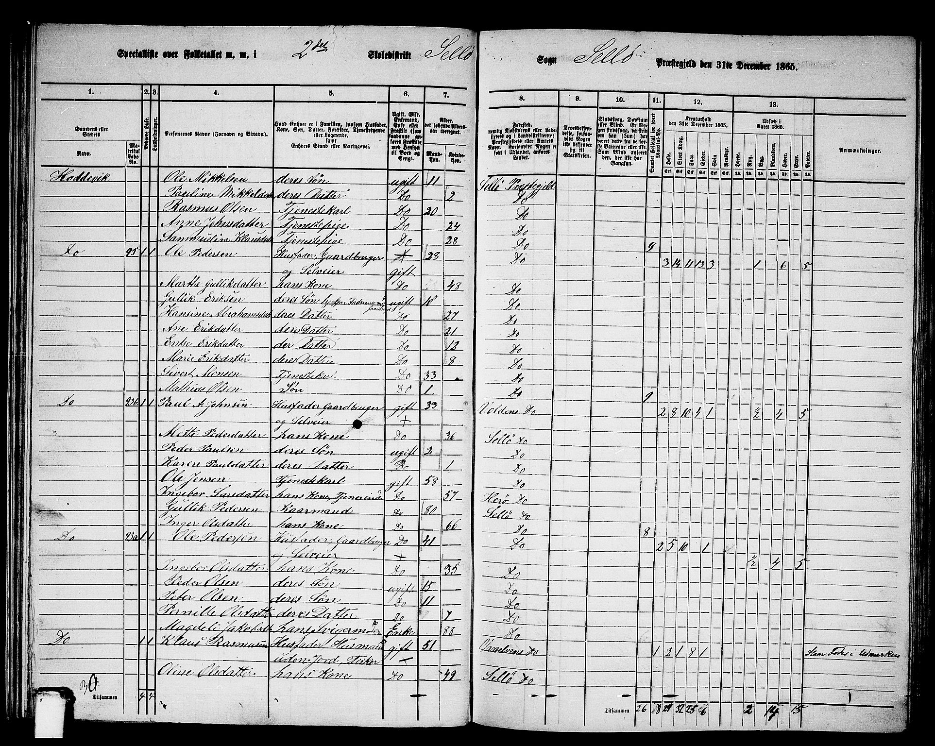 RA, 1865 census for Selje, 1865, p. 38