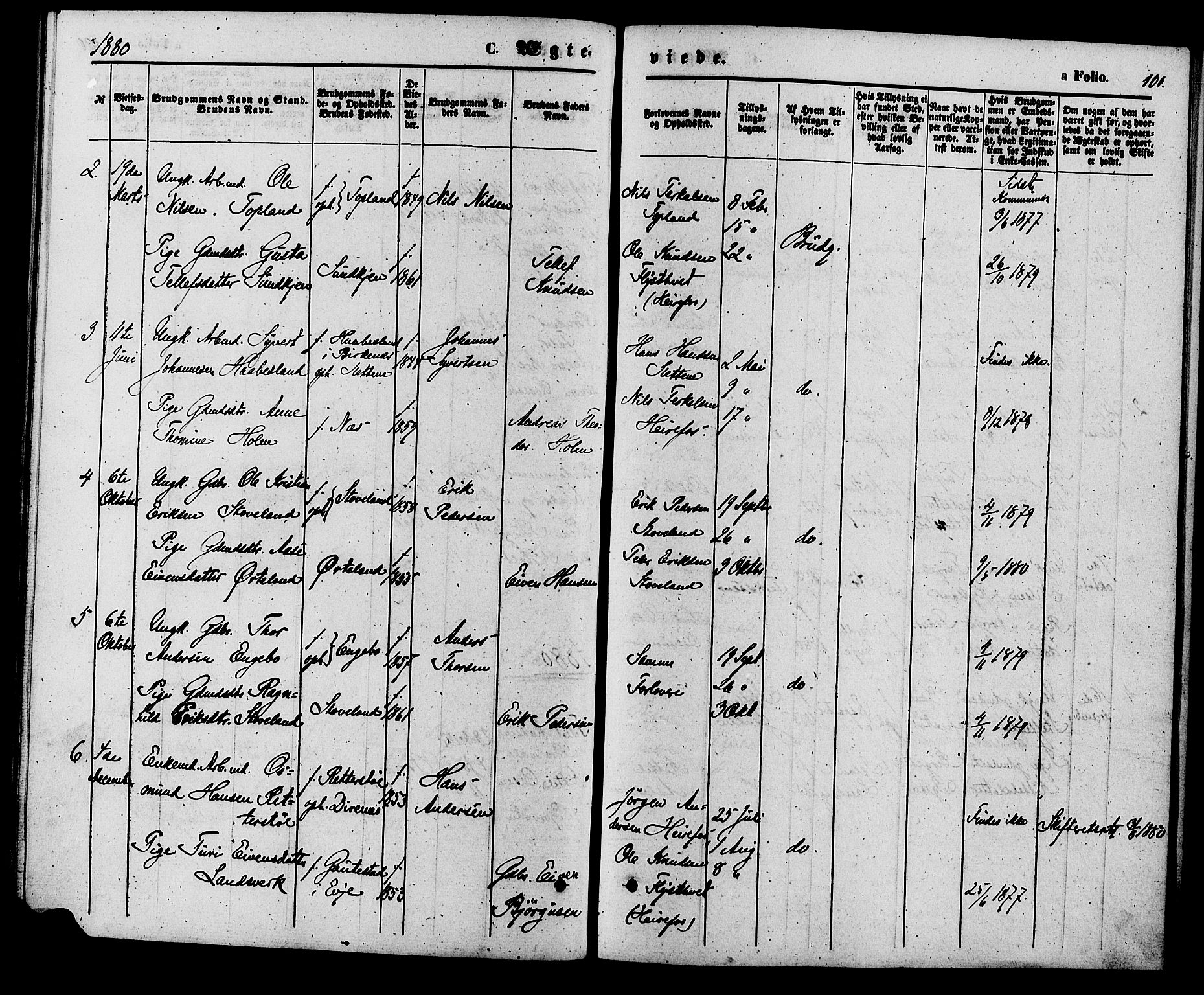 Herefoss sokneprestkontor, AV/SAK-1111-0019/F/Fa/Faa/L0002: Parish register (official) no. A 2, 1861-1886, p. 101