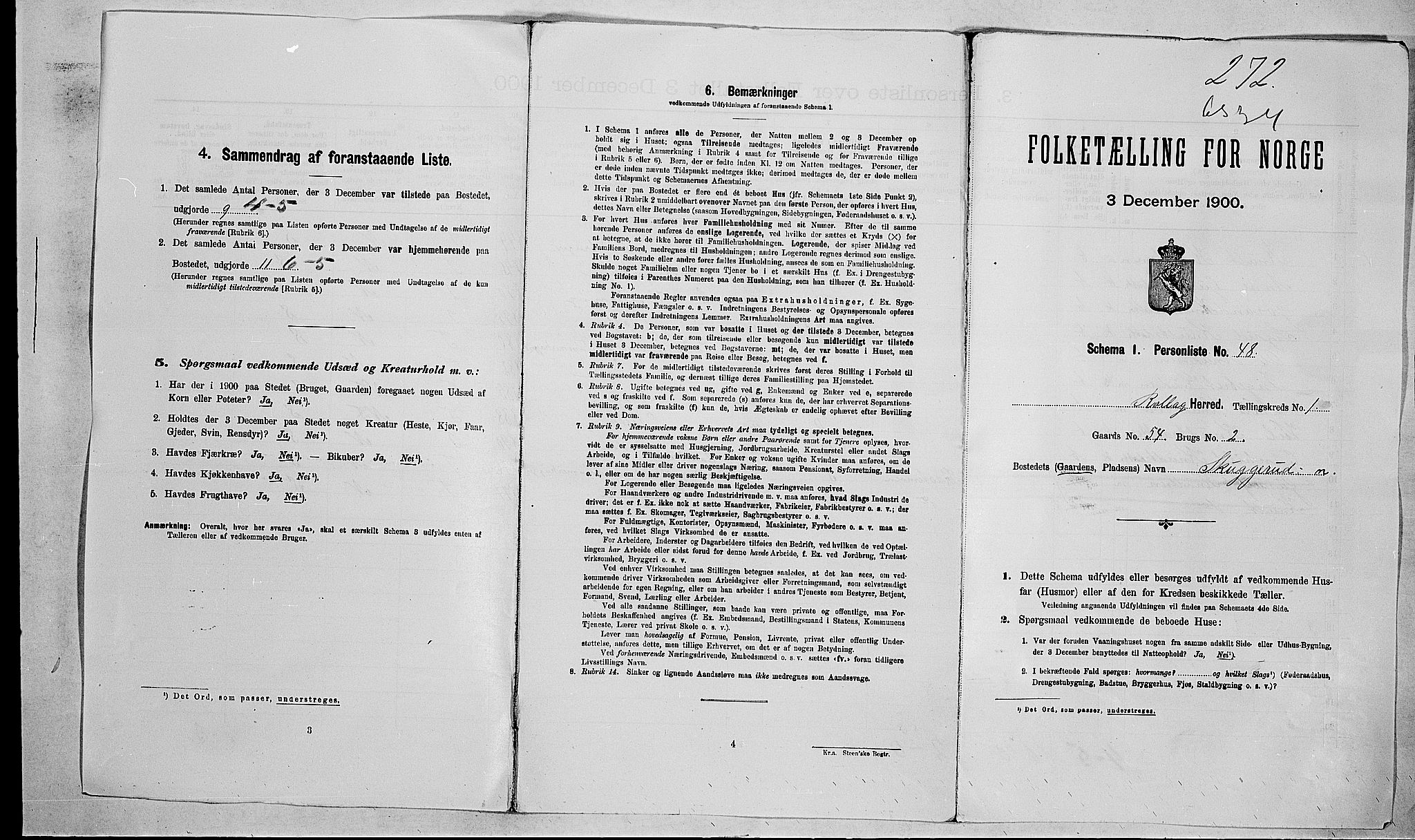 RA, 1900 census for Rollag, 1900, p. 21