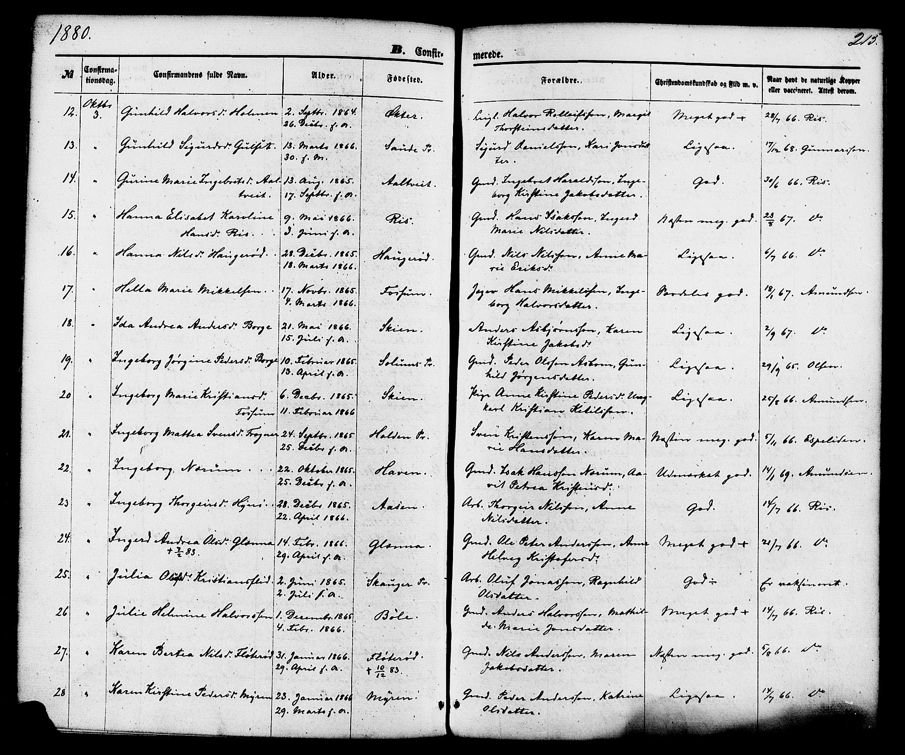 Gjerpen kirkebøker, AV/SAKO-A-265/F/Fa/L0009: Parish register (official) no. I 9, 1872-1885, p. 215