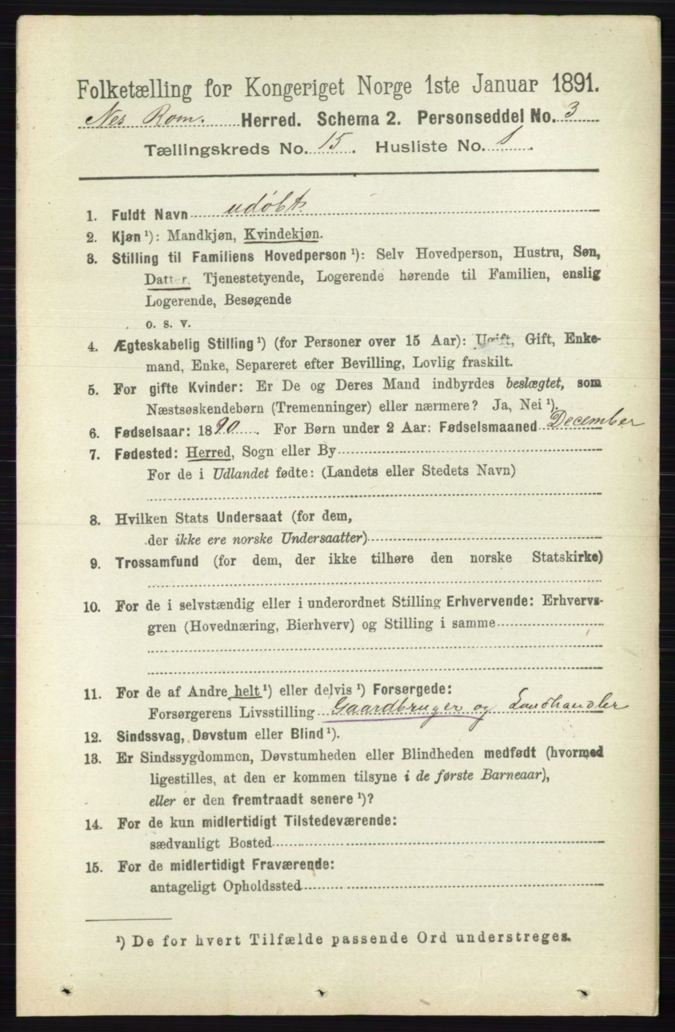 RA, 1891 census for 0236 Nes, 1891, p. 9004