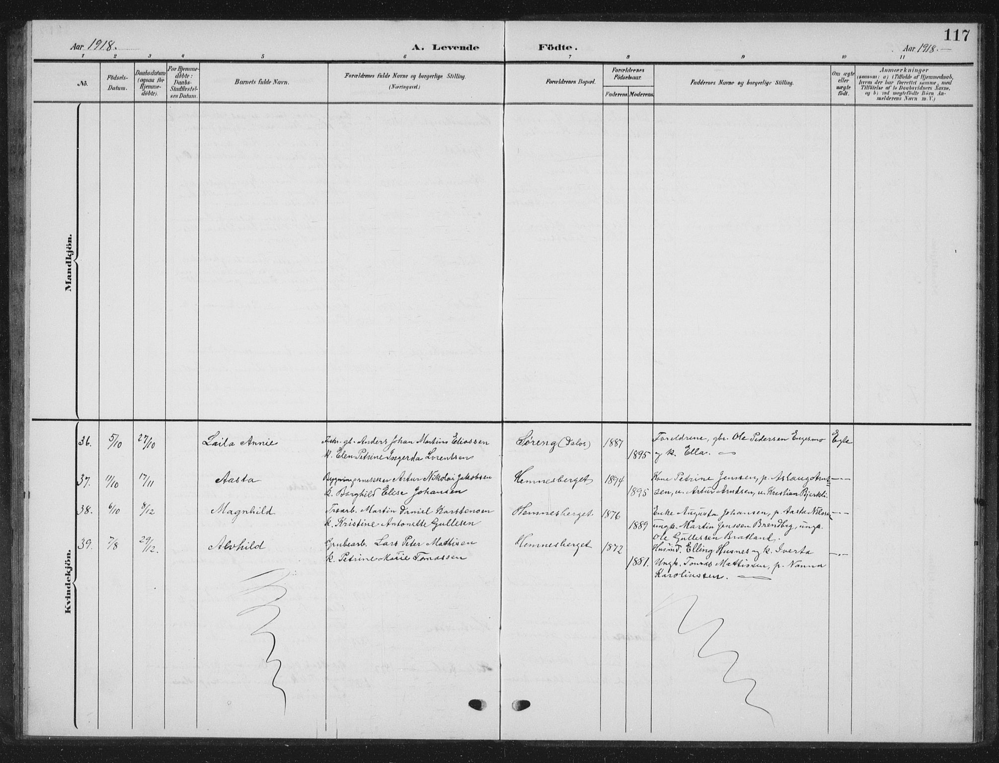 Ministerialprotokoller, klokkerbøker og fødselsregistre - Nordland, AV/SAT-A-1459/825/L0370: Parish register (copy) no. 825C07, 1903-1923, p. 117