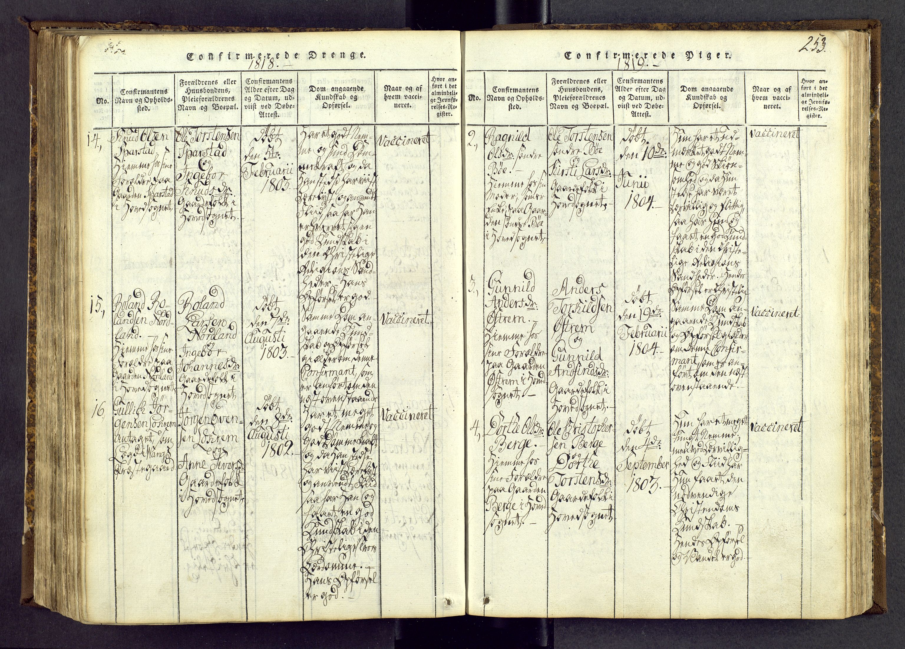 Vang prestekontor, Valdres, SAH/PREST-140/H/Ha/L0004: Parish register (official) no. 4, 1814-1831, p. 253