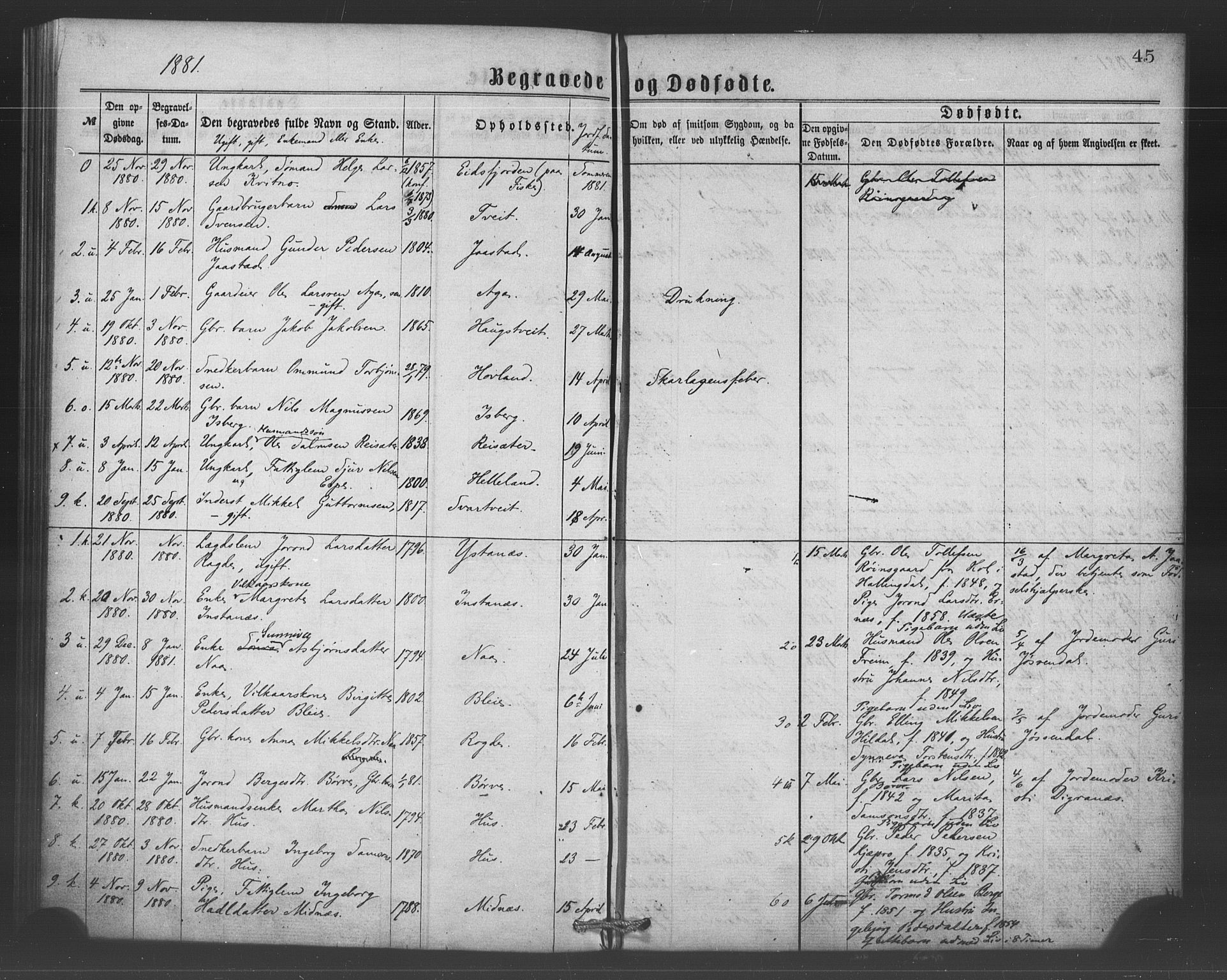 Ullensvang sokneprestembete, SAB/A-78701/H/Haa: Parish register (official) no. A 15, 1867-1882, p. 45