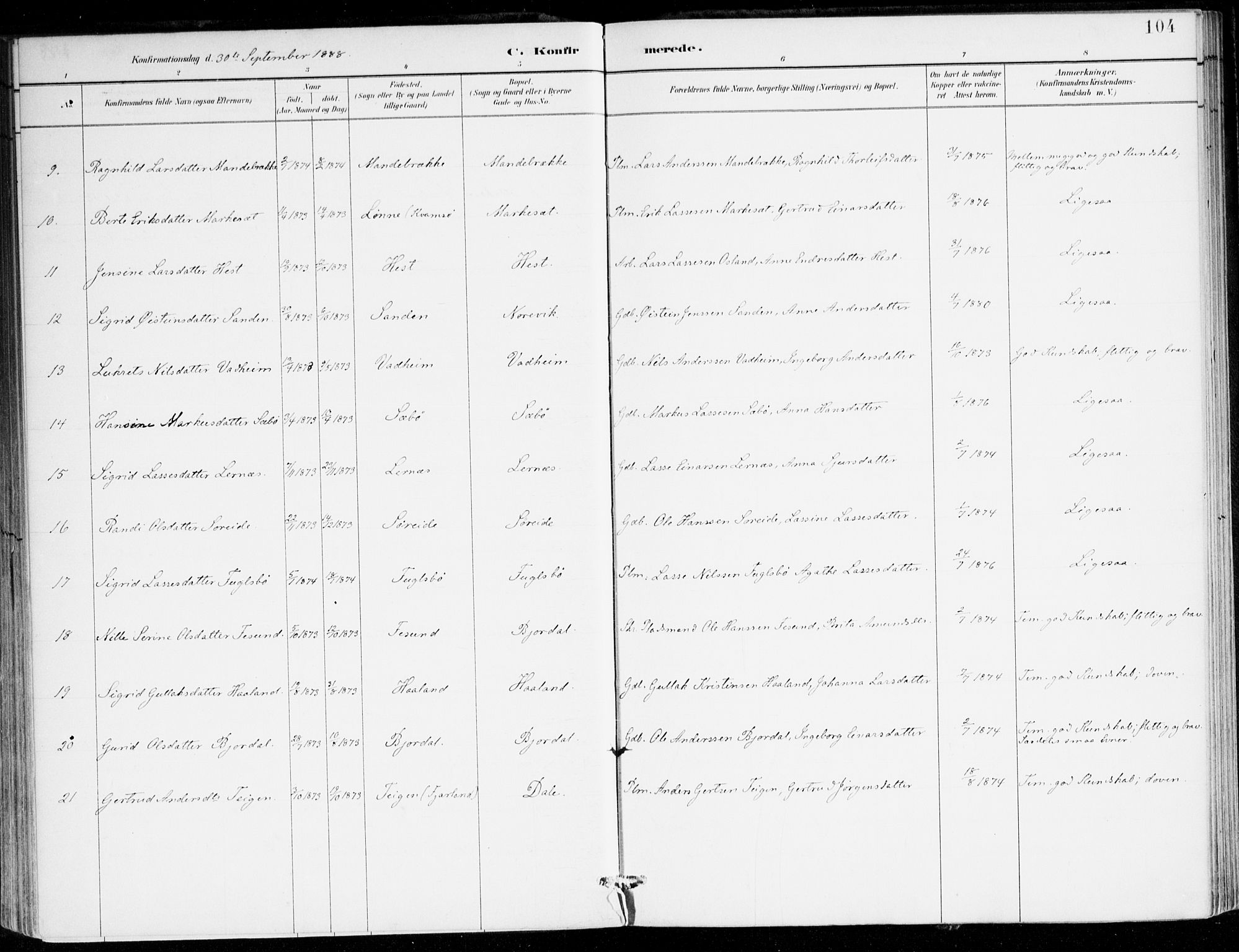 Lavik sokneprestembete, AV/SAB-A-80901: Parish register (official) no. C 1, 1882-1904, p. 104