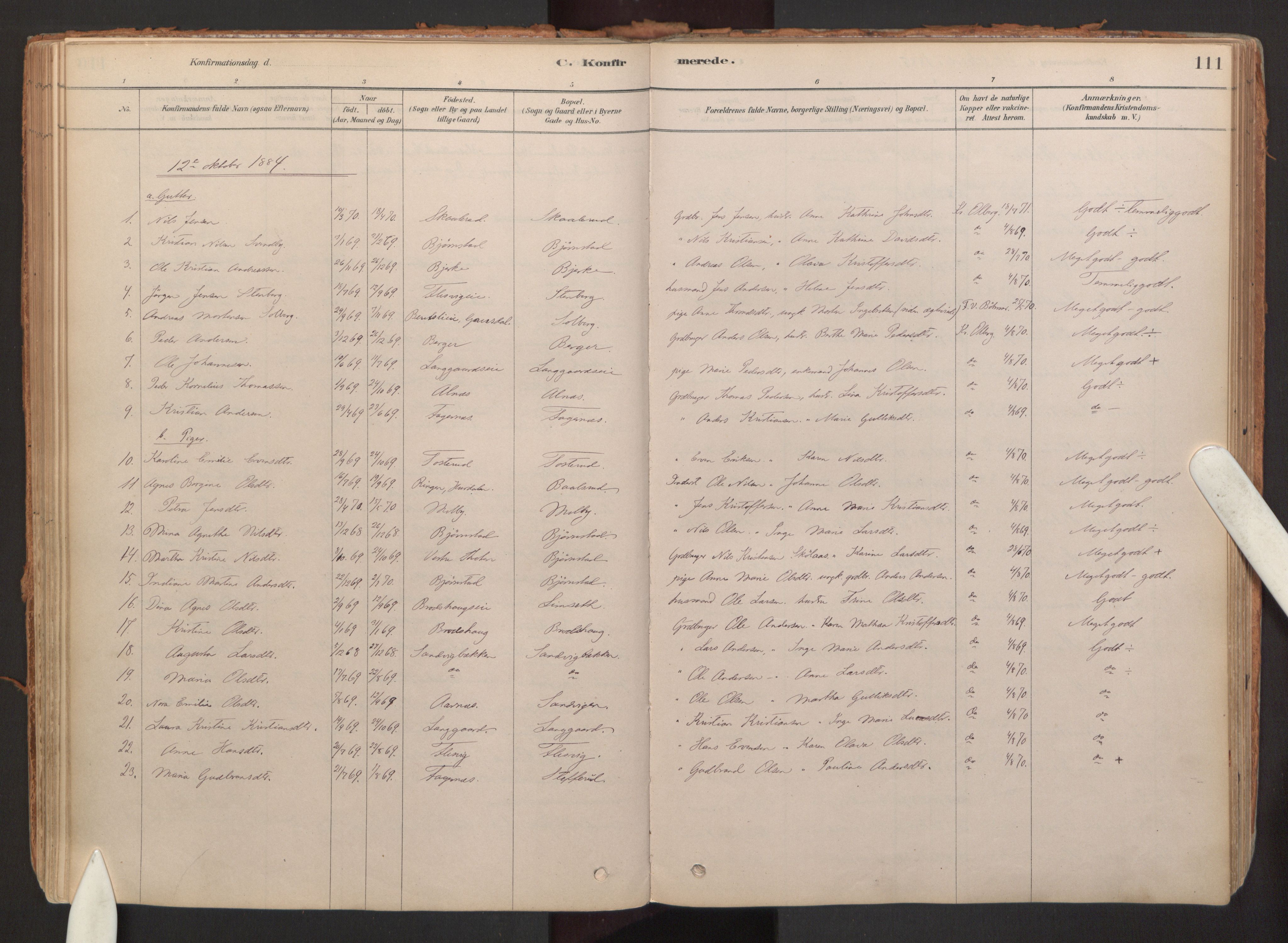 Hurdal prestekontor Kirkebøker, SAO/A-10889/F/Fb/L0003: Parish register (official) no. II 3, 1878-1920, p. 111