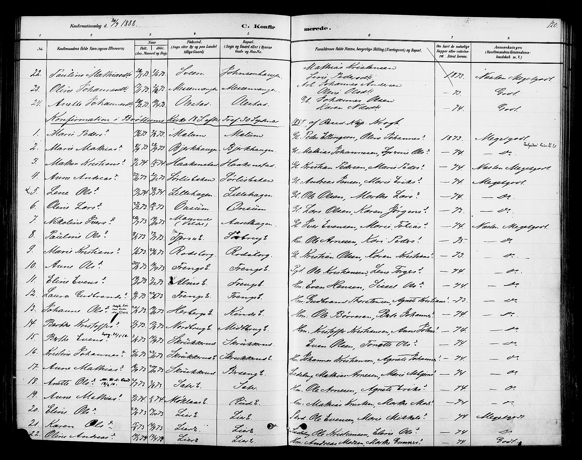 Ringsaker prestekontor, SAH/PREST-014/K/Ka/L0013: Parish register (official) no. 13, 1879-1890, p. 120