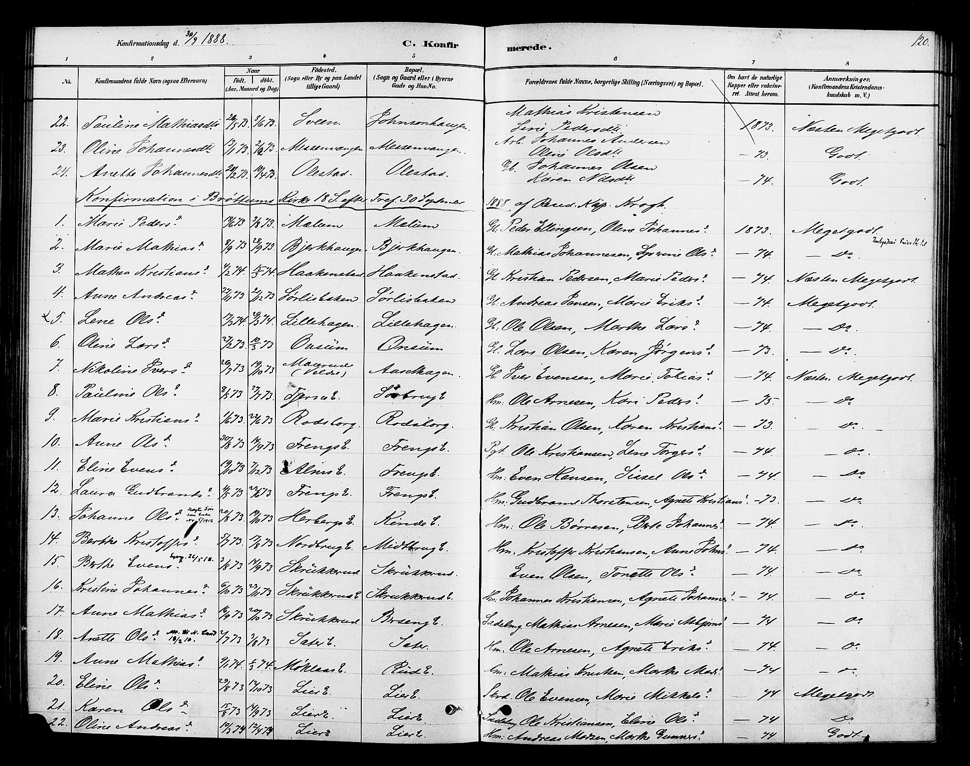 Ringsaker prestekontor, AV/SAH-PREST-014/K/Ka/L0013: Parish register (official) no. 13, 1879-1890, p. 120