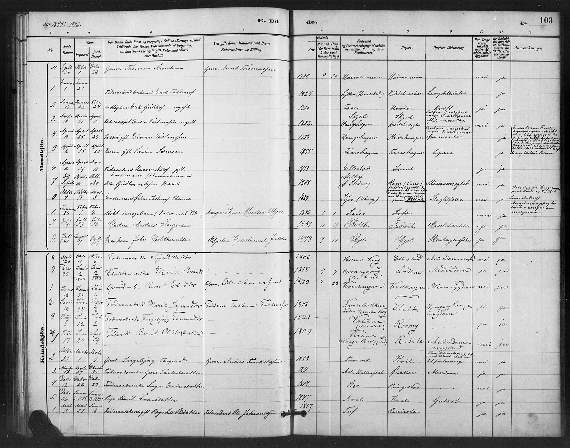 Vestre Slidre prestekontor, SAH/PREST-136/H/Ha/Hab/L0006: Parish register (copy) no. 6, 1881-1915, p. 103