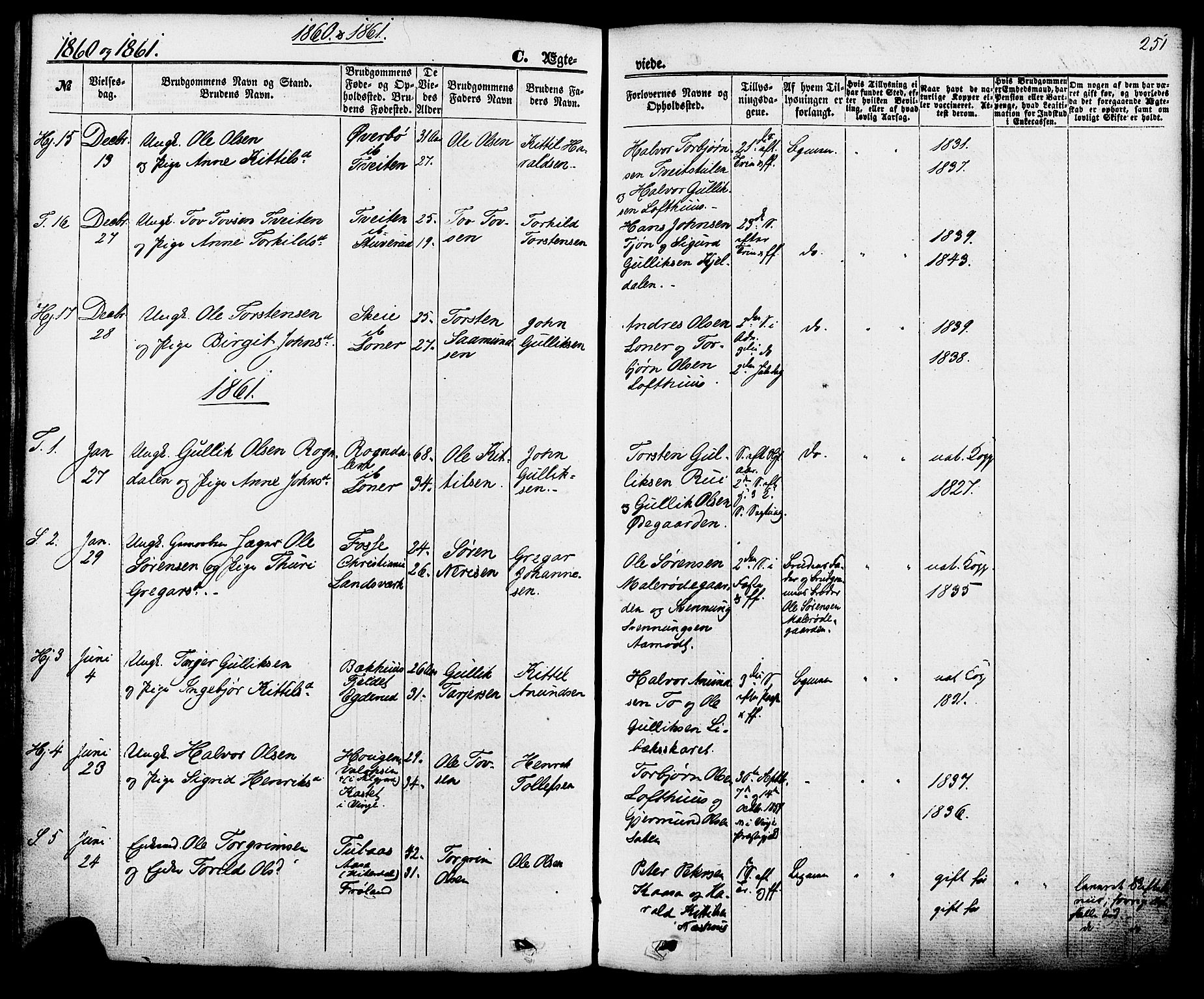 Hjartdal kirkebøker, AV/SAKO-A-270/F/Fa/L0009: Parish register (official) no. I 9, 1860-1879, p. 251