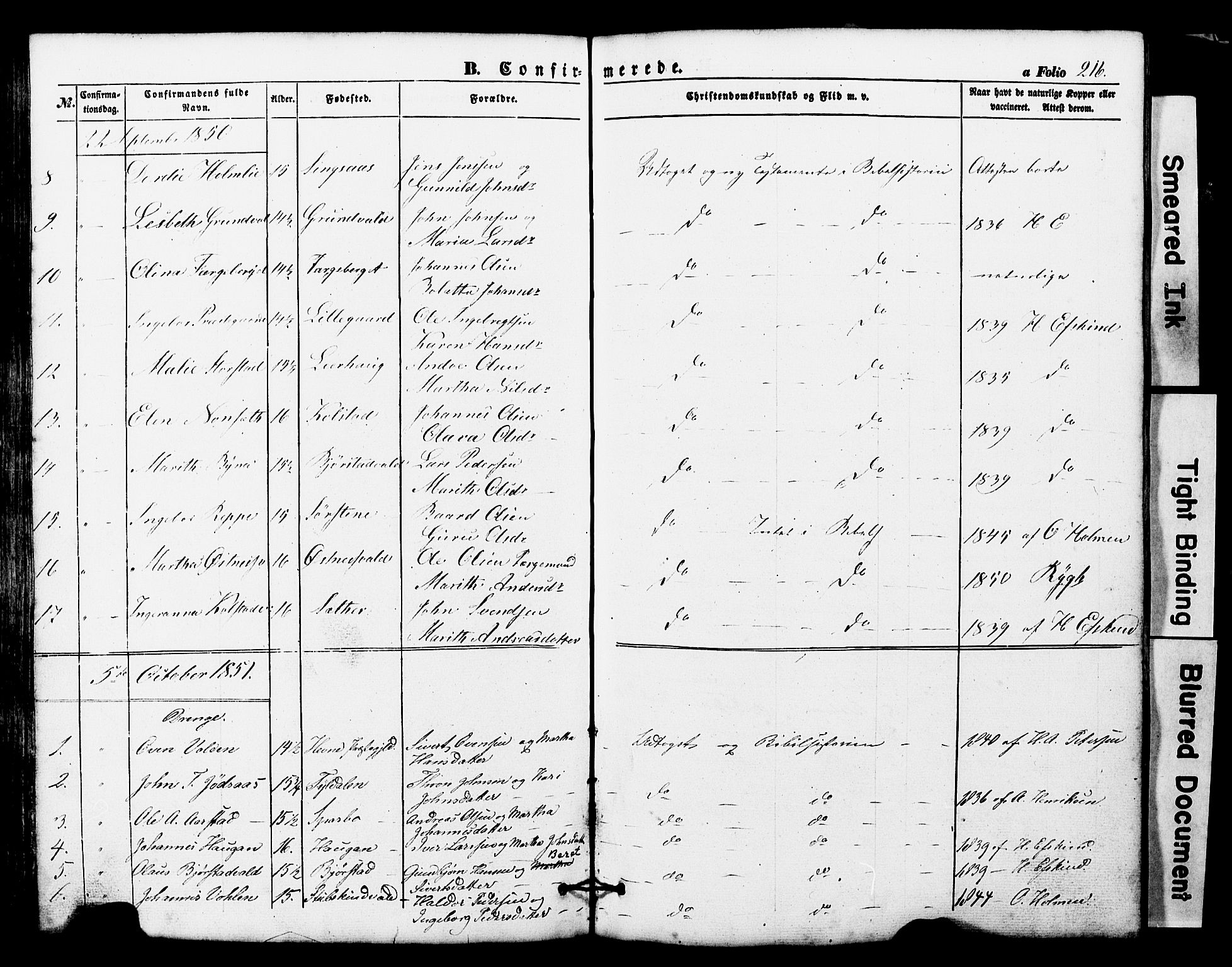 Ministerialprotokoller, klokkerbøker og fødselsregistre - Nord-Trøndelag, AV/SAT-A-1458/724/L0268: Parish register (copy) no. 724C04, 1846-1878, p. 216