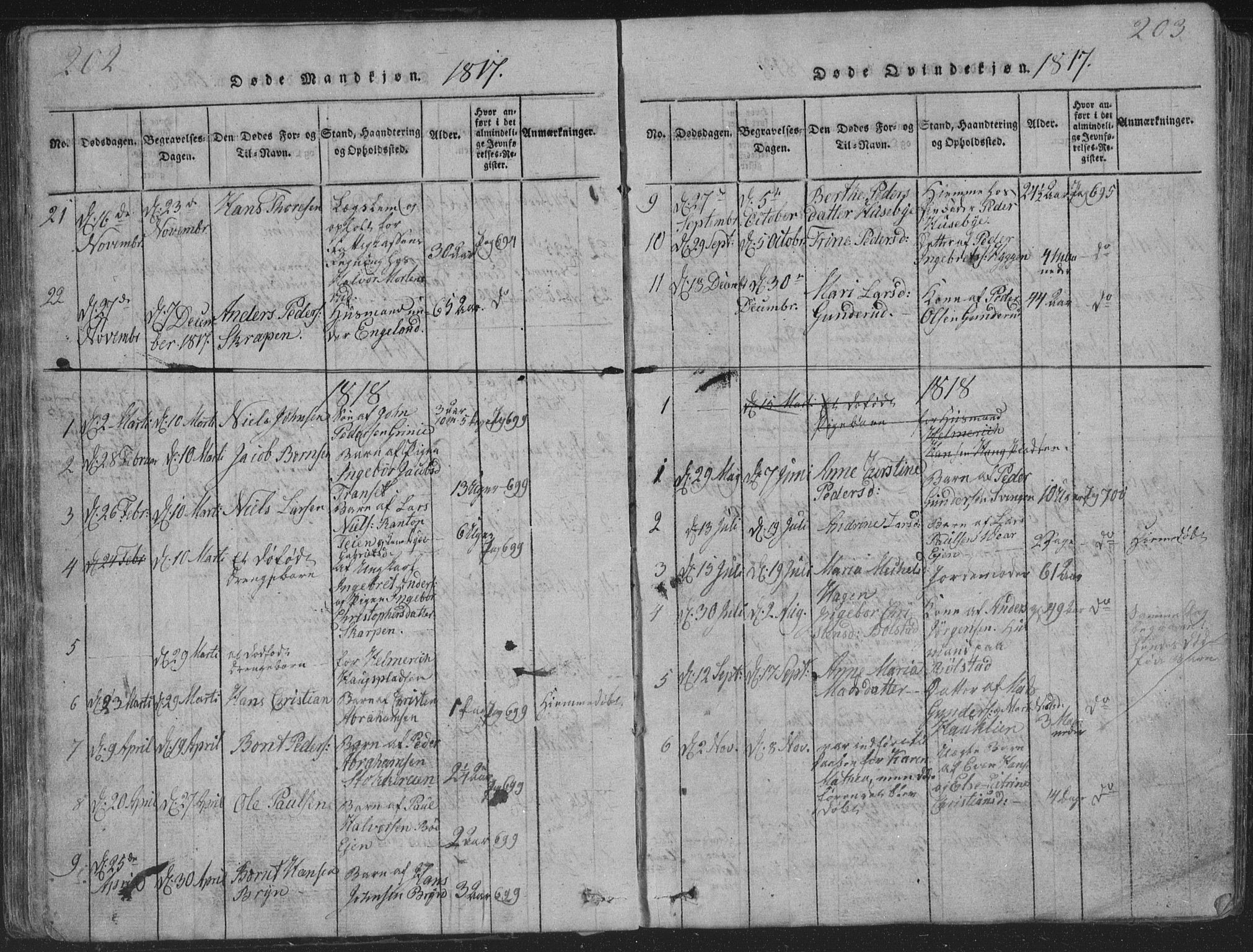 Røyken kirkebøker, SAKO/A-241/G/Ga/L0003: Parish register (copy) no. 3, 1814-1856, p. 202-203