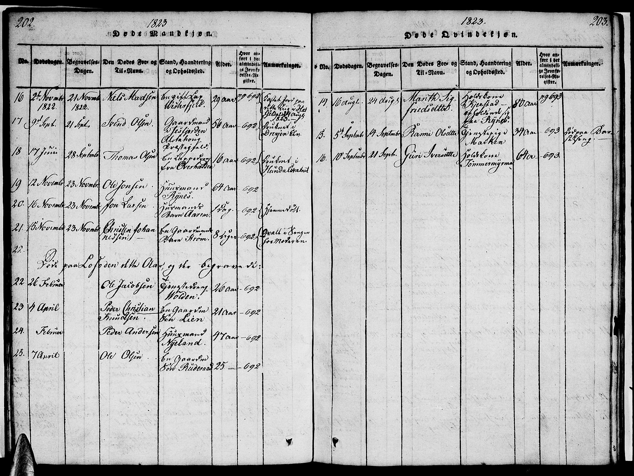 Ministerialprotokoller, klokkerbøker og fødselsregistre - Nordland, AV/SAT-A-1459/820/L0299: Parish register (copy) no. 820C01, 1820-1825, p. 202-203