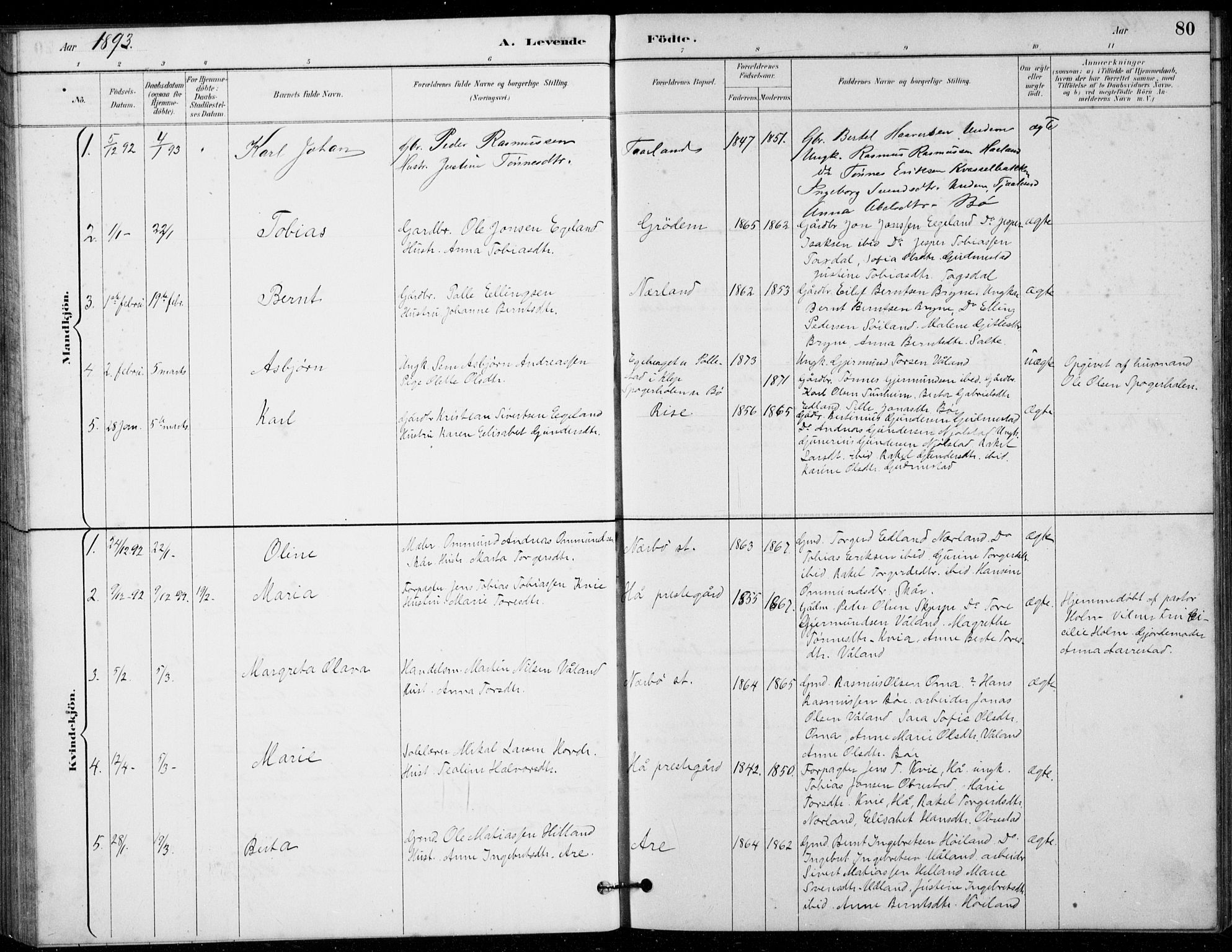 Hå sokneprestkontor, AV/SAST-A-101801/001/30BB/L0003: Parish register (copy) no. B 3, 1883-1894, p. 80