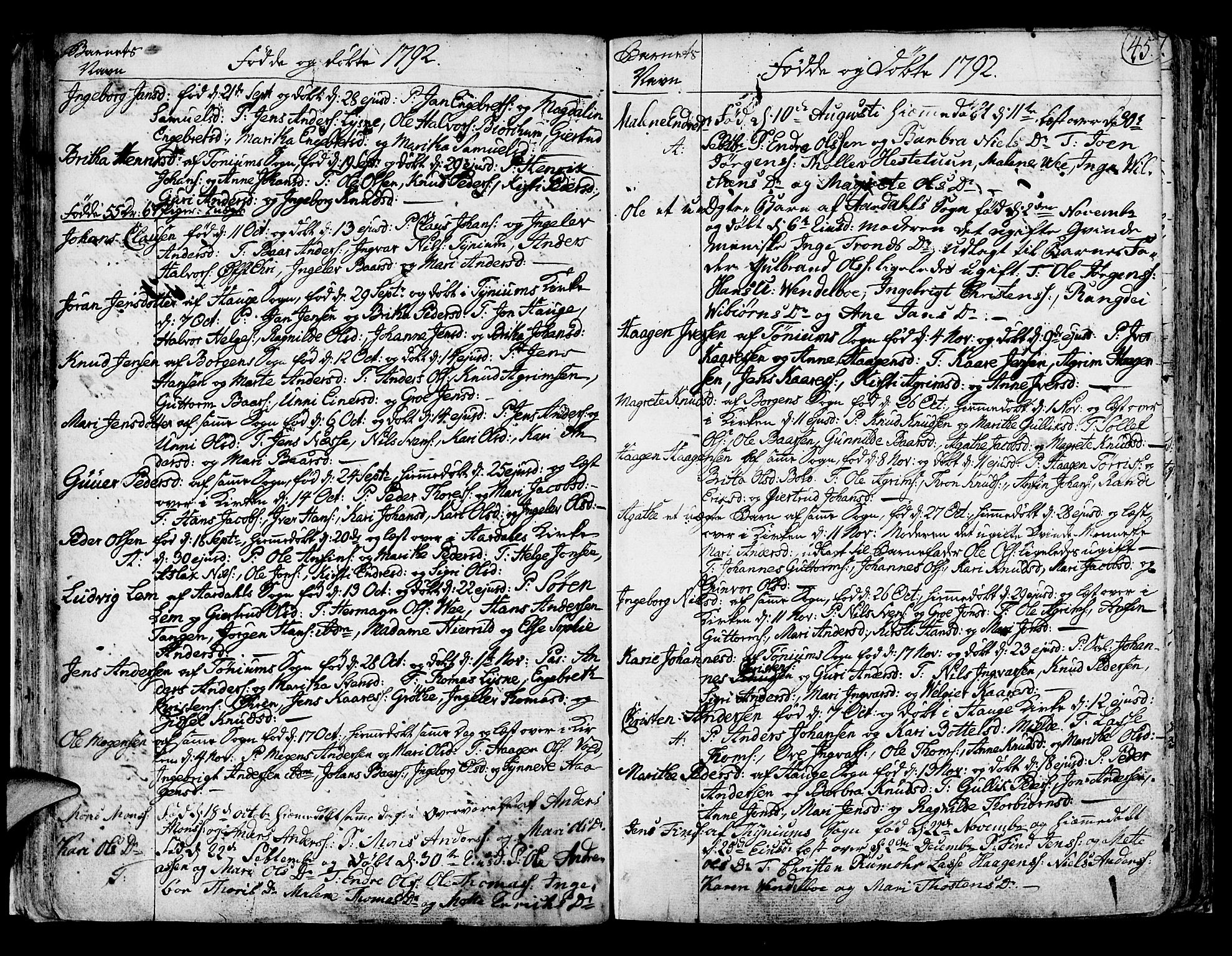 Lærdal sokneprestembete, SAB/A-81201: Parish register (official) no. A 3, 1783-1804, p. 45