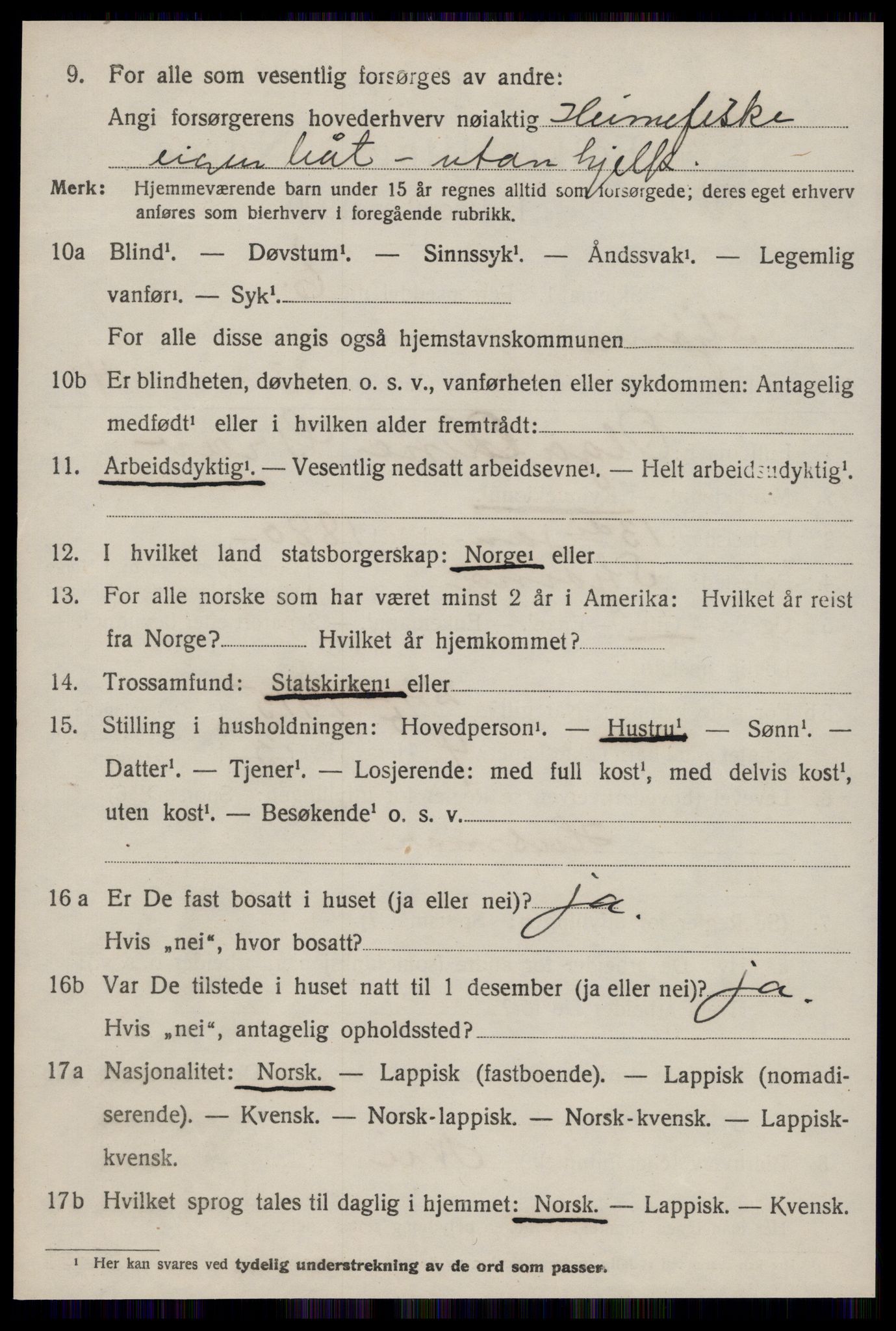 SAT, 1920 census for Stjørna, 1920, p. 1017