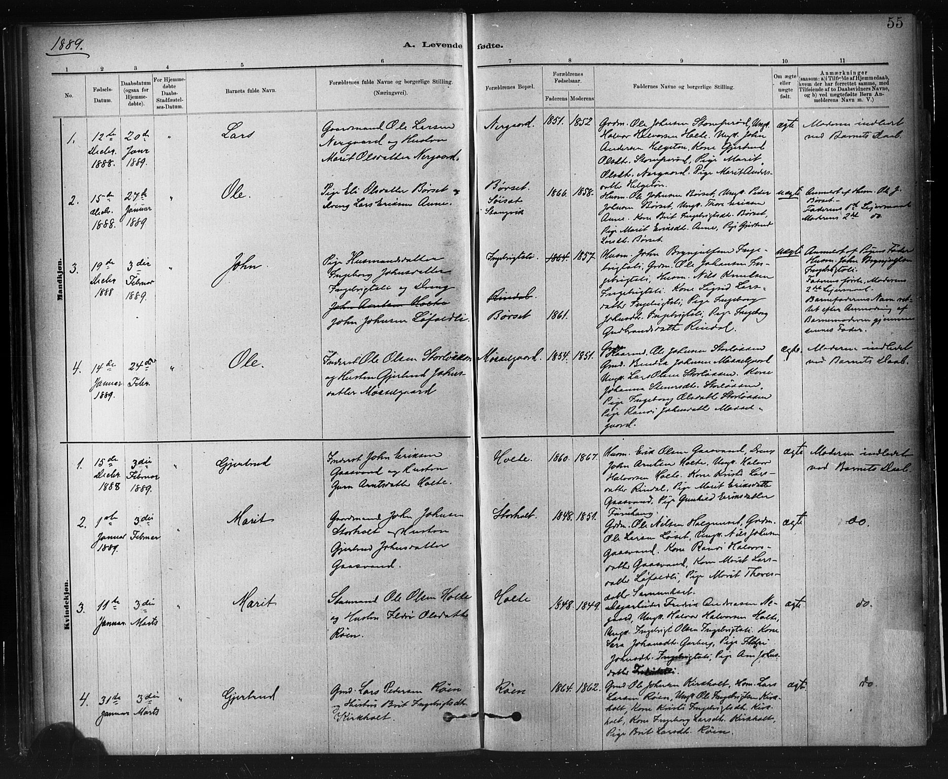 Ministerialprotokoller, klokkerbøker og fødselsregistre - Møre og Romsdal, AV/SAT-A-1454/598/L1069: Parish register (official) no. 598A03, 1882-1895, p. 55