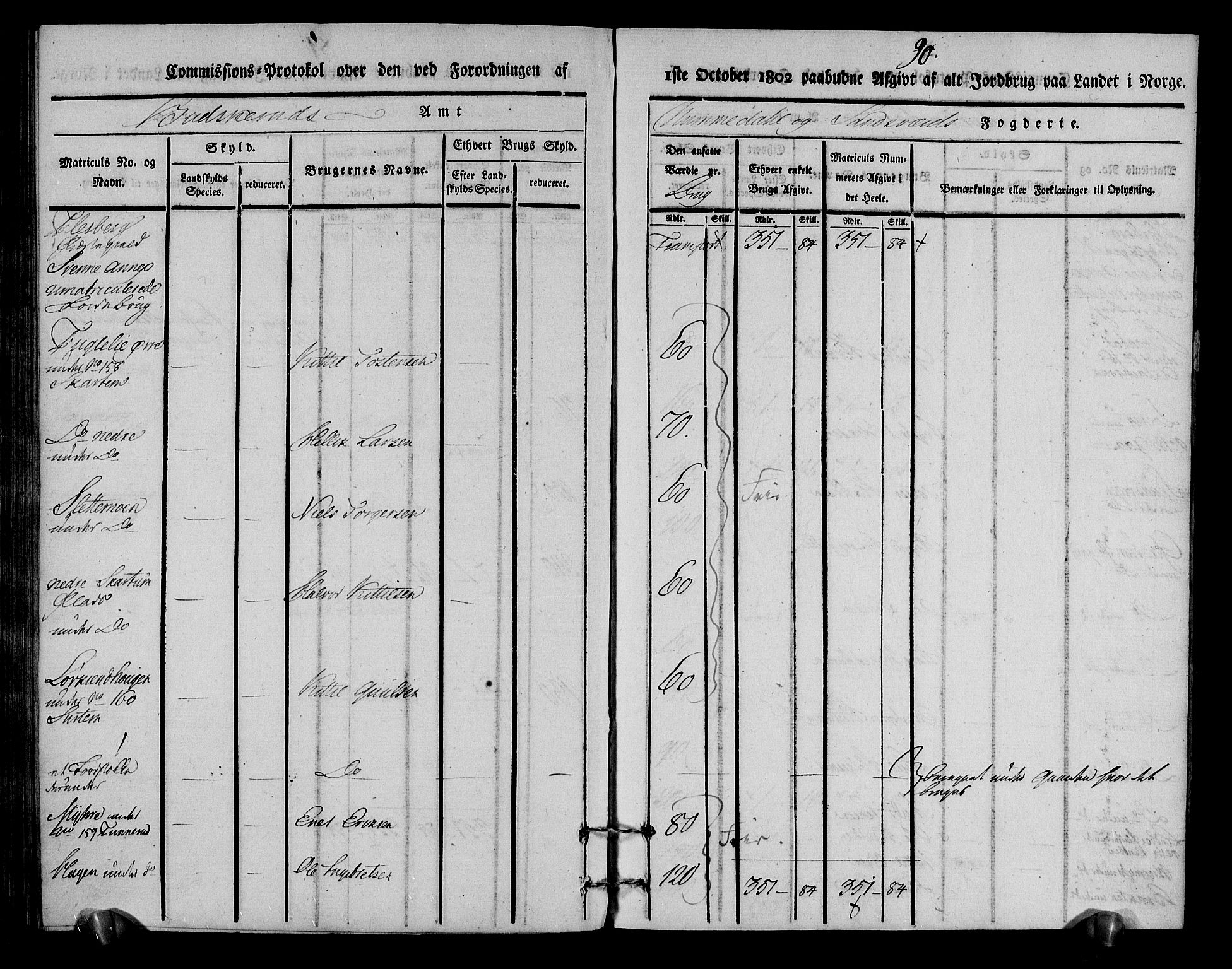 Rentekammeret inntil 1814, Realistisk ordnet avdeling, AV/RA-EA-4070/N/Ne/Nea/L0055: Numedal og Sandsvær fogderi. Kommisjonsprotokoll for Flesberg prestegjeld, 1803, p. 91