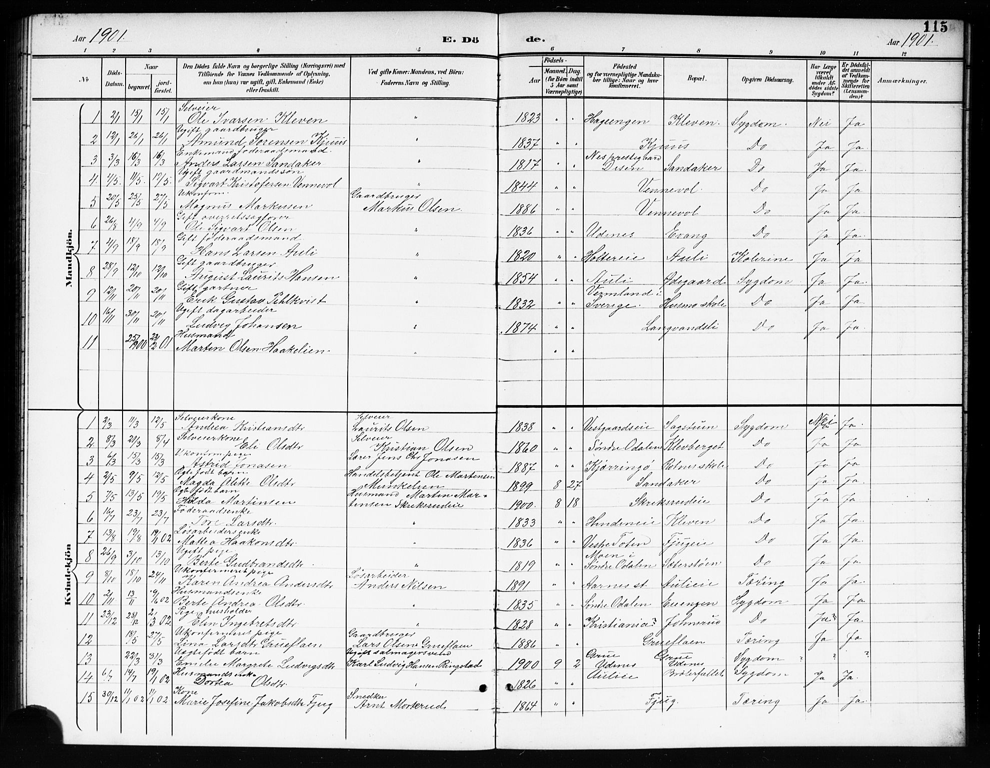 Nes prestekontor Kirkebøker, AV/SAO-A-10410/G/Gc/L0001: Parish register (copy) no. III 1, 1901-1917, p. 115