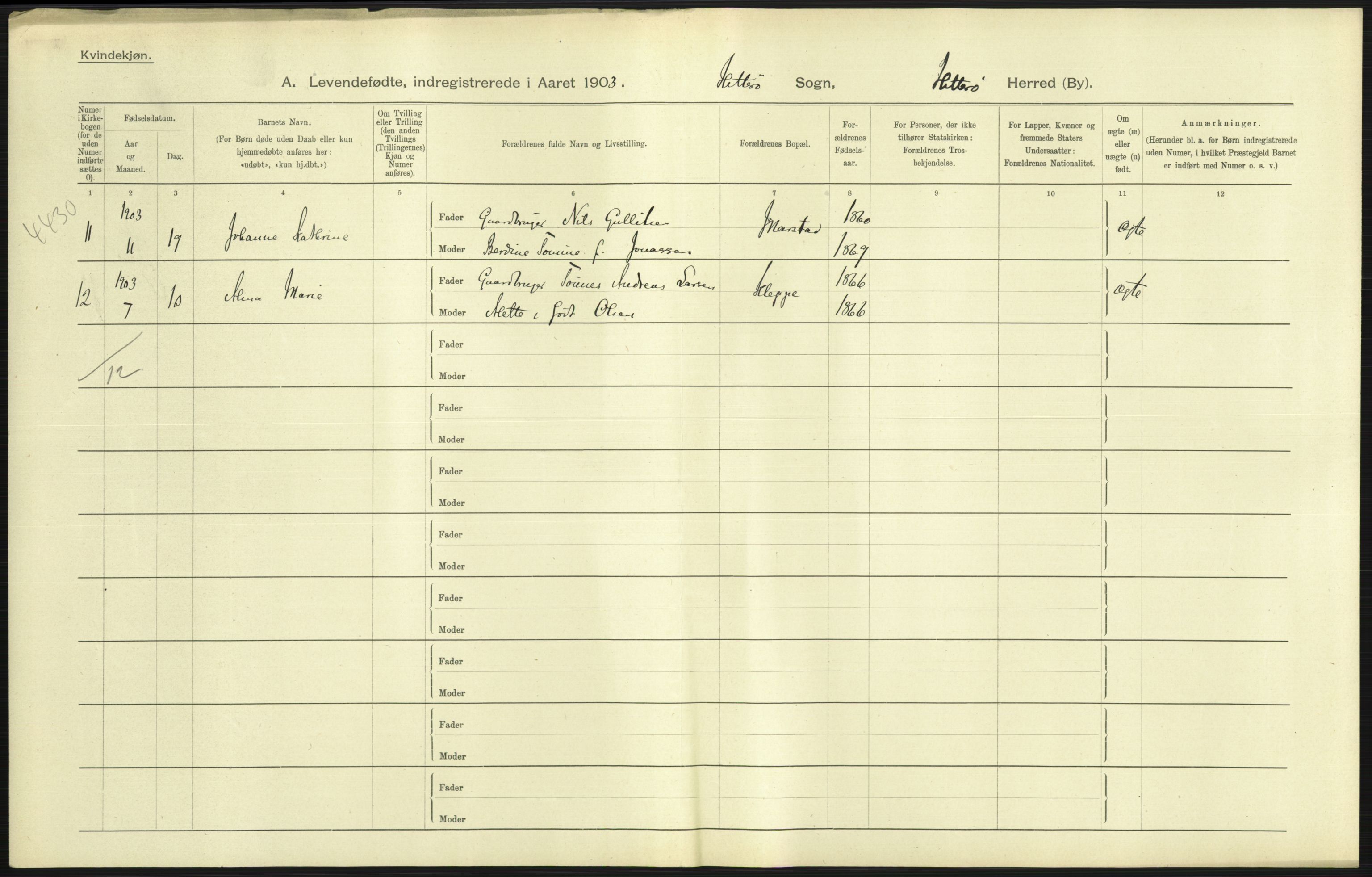 Statistisk sentralbyrå, Sosiodemografiske emner, Befolkning, AV/RA-S-2228/D/Df/Dfa/Dfaa/L0011: Lister og Mandal amt: Fødte, gifte, døde, 1903, p. 29