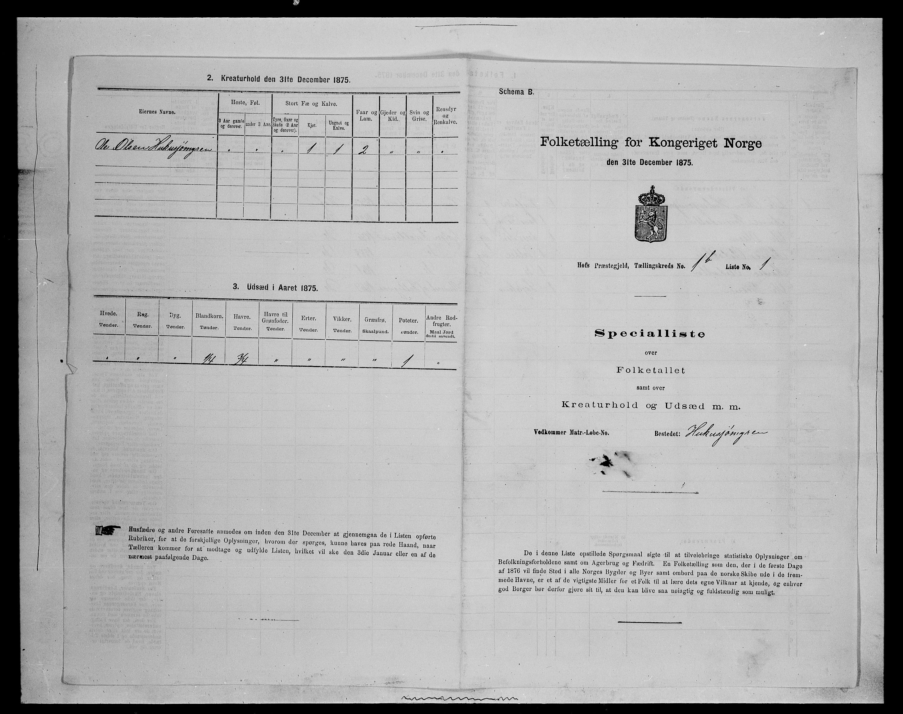 SAH, 1875 census for 0424P Hof, 1875, p. 181