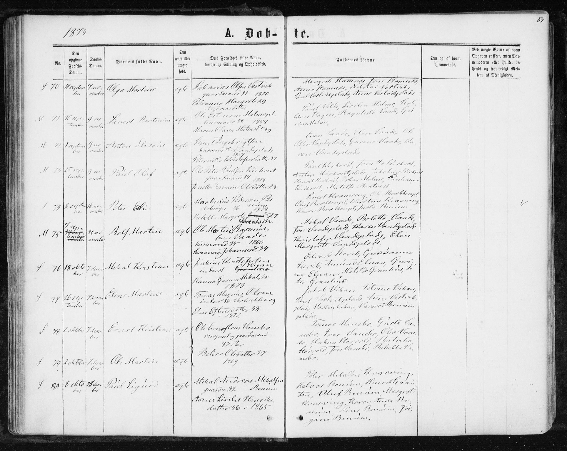 Ministerialprotokoller, klokkerbøker og fødselsregistre - Nord-Trøndelag, SAT/A-1458/741/L0394: Parish register (official) no. 741A08, 1864-1877, p. 84