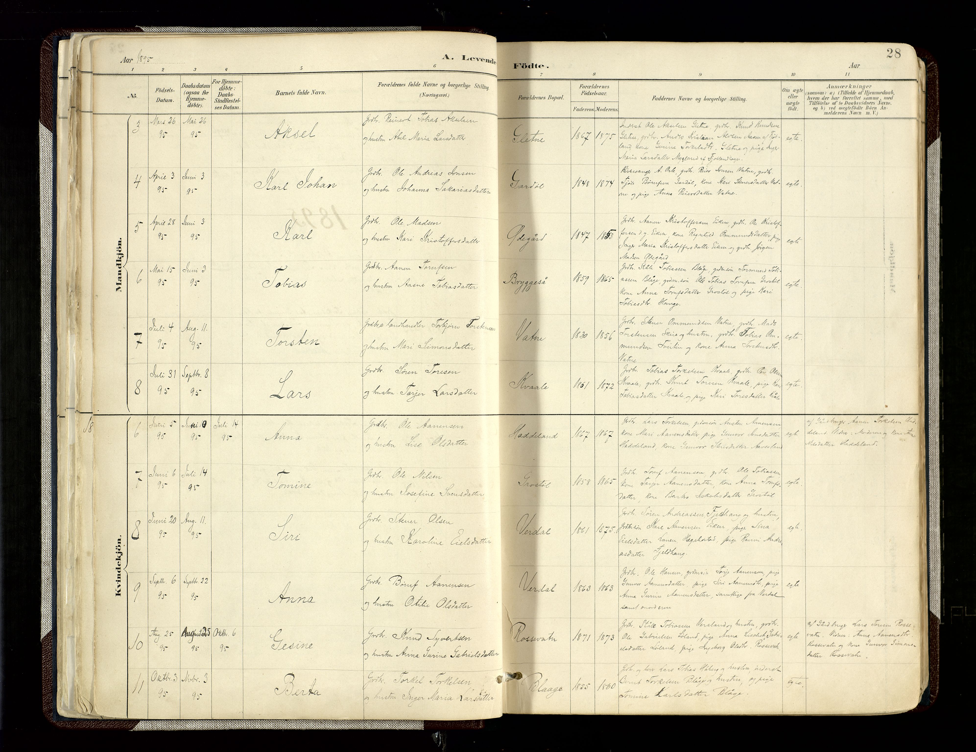 Hægebostad sokneprestkontor, SAK/1111-0024/F/Fa/Fab/L0004: Parish register (official) no. A 4, 1887-1929, p. 28