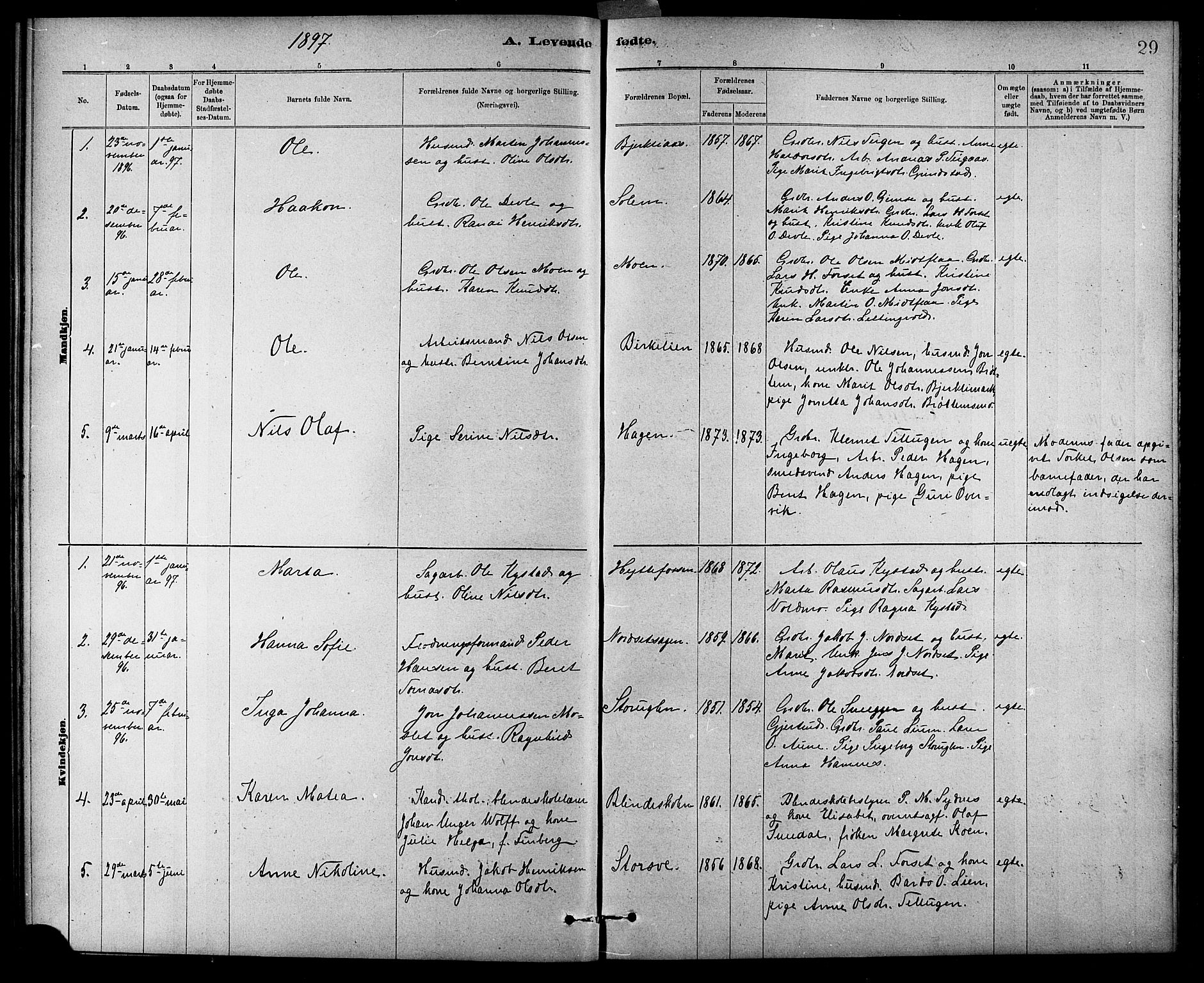 Ministerialprotokoller, klokkerbøker og fødselsregistre - Sør-Trøndelag, AV/SAT-A-1456/618/L0452: Parish register (copy) no. 618C03, 1884-1906, p. 29