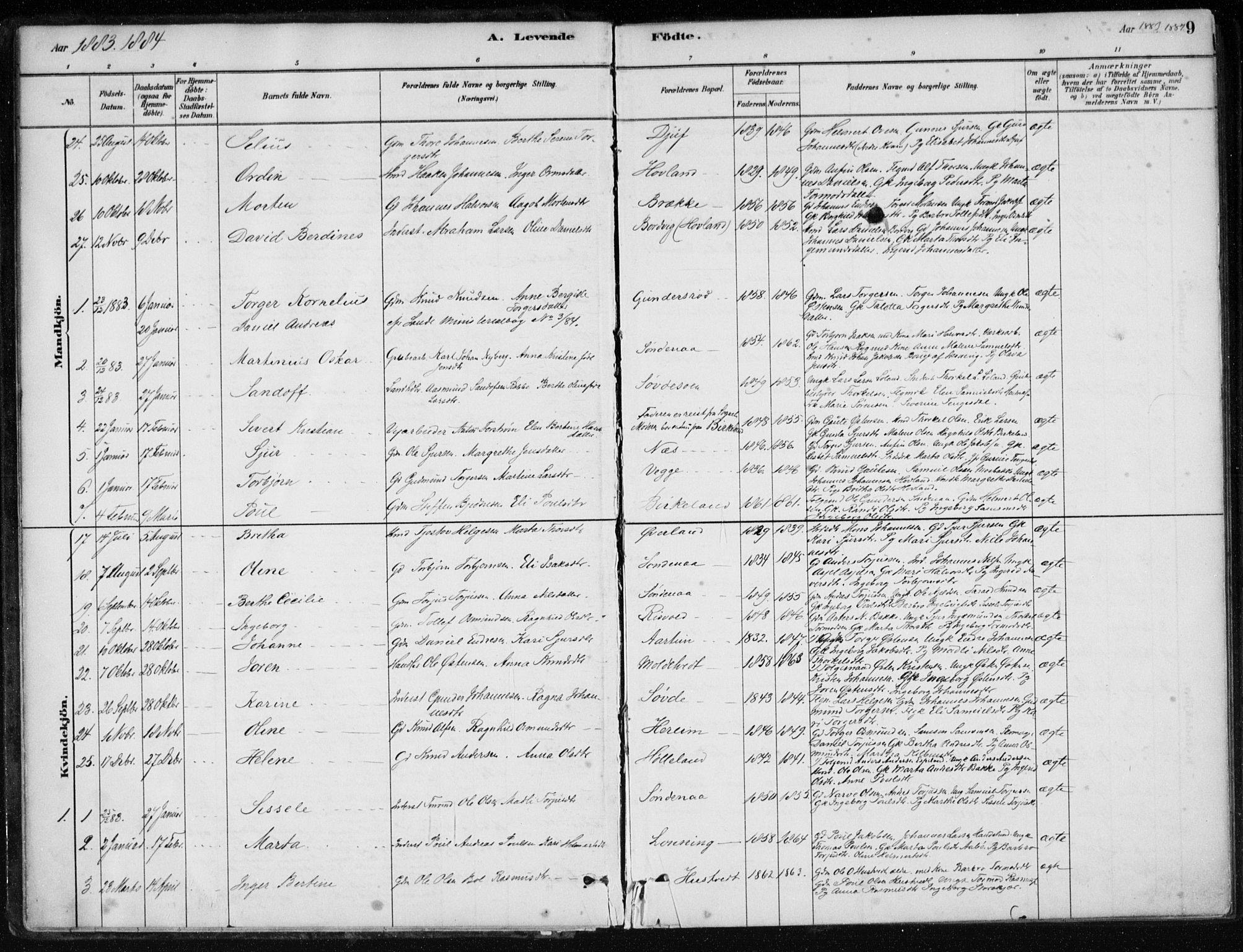 Sand sokneprestkontor, AV/SAST-A-101848/01/III/L0006: Parish register (official) no. A 6, 1880-1898, p. 9